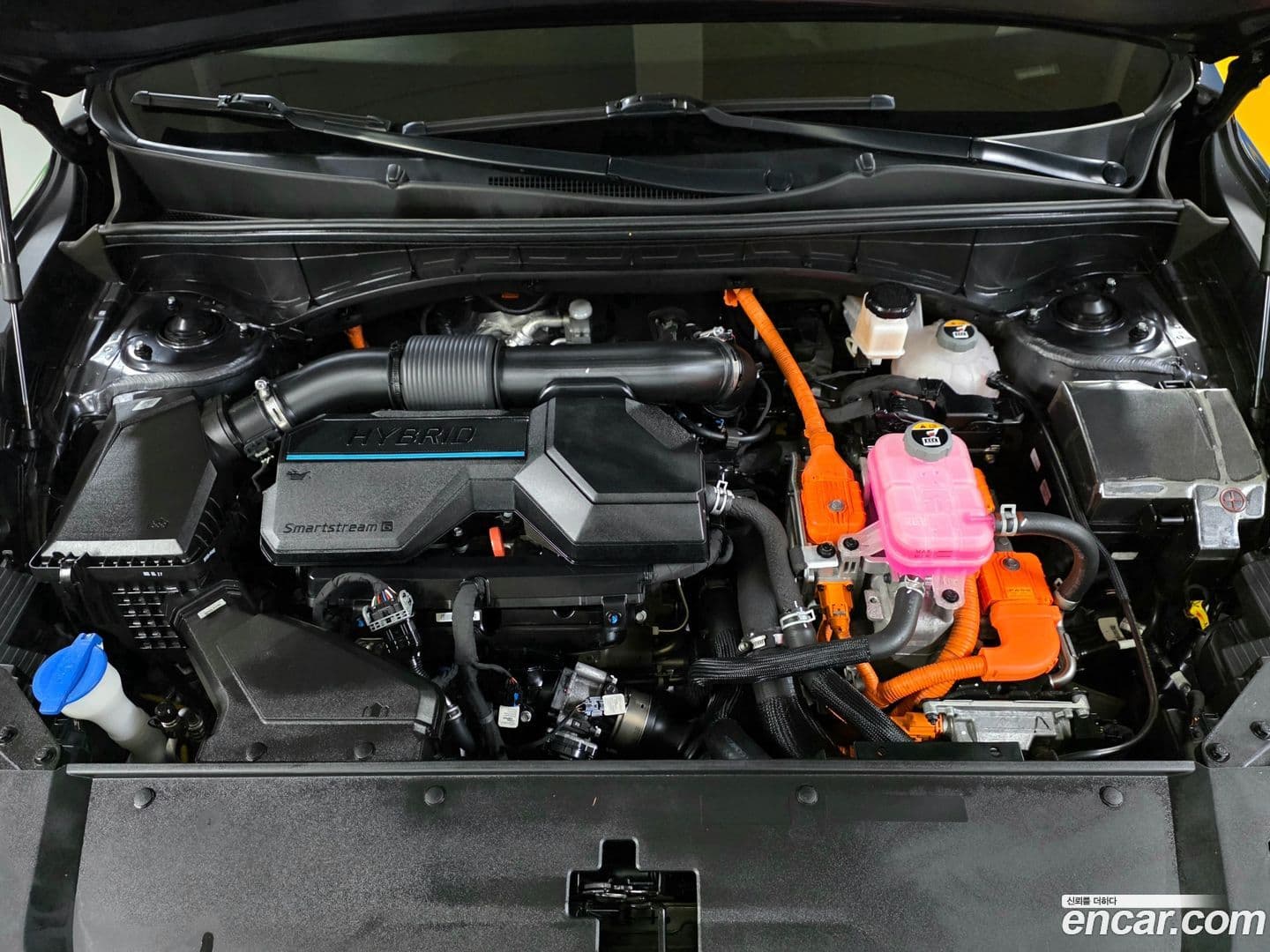 Main__Slider__Photo:Sorento Kia 2022.6-18