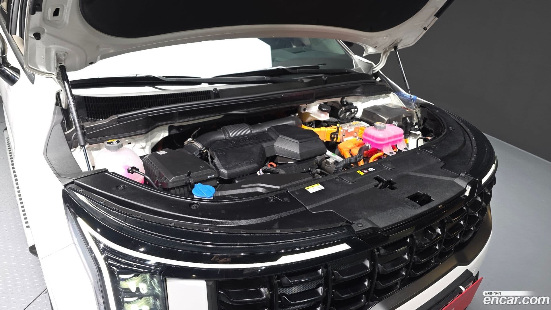 Main__Slider__Photo:Canival Kia 2025.6-5