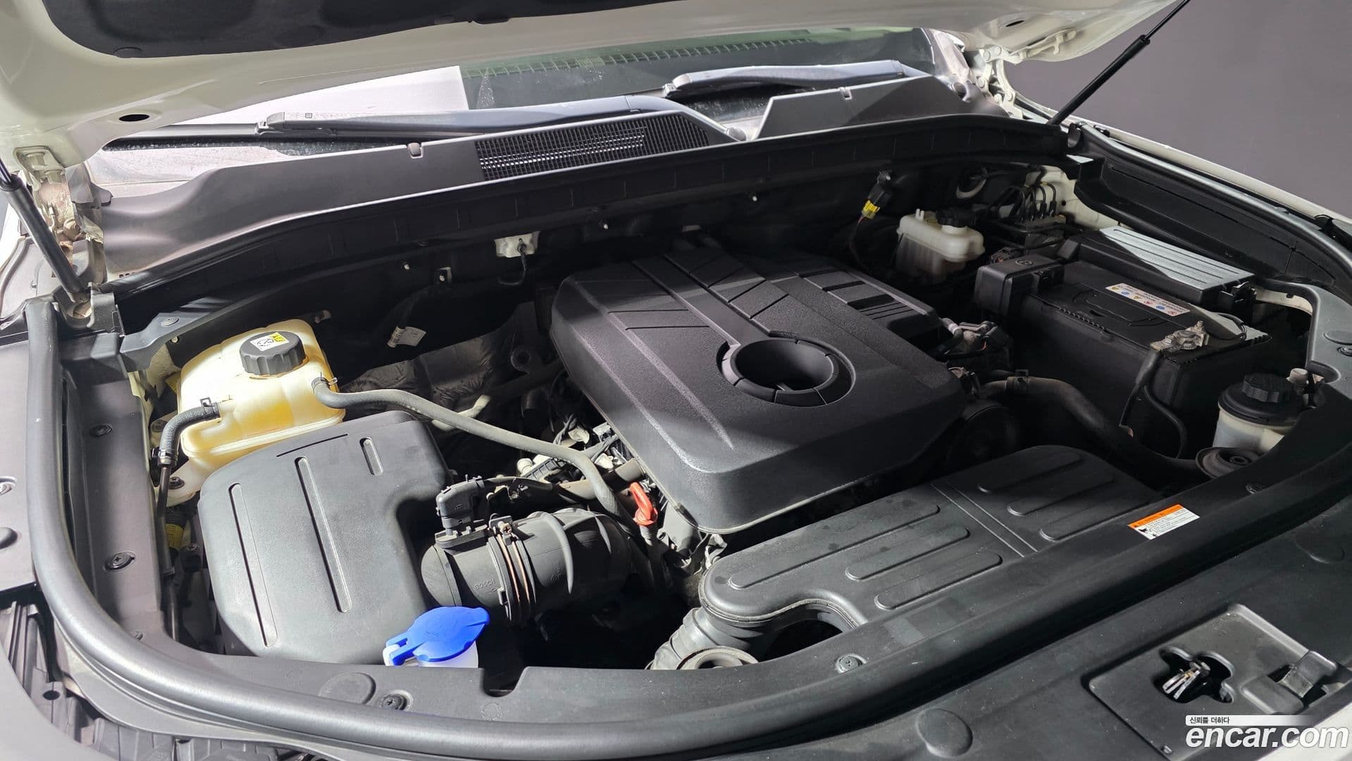 Main__Slider__Photo:Rexton KG_Mobility_Ssangyong 2018.8-5