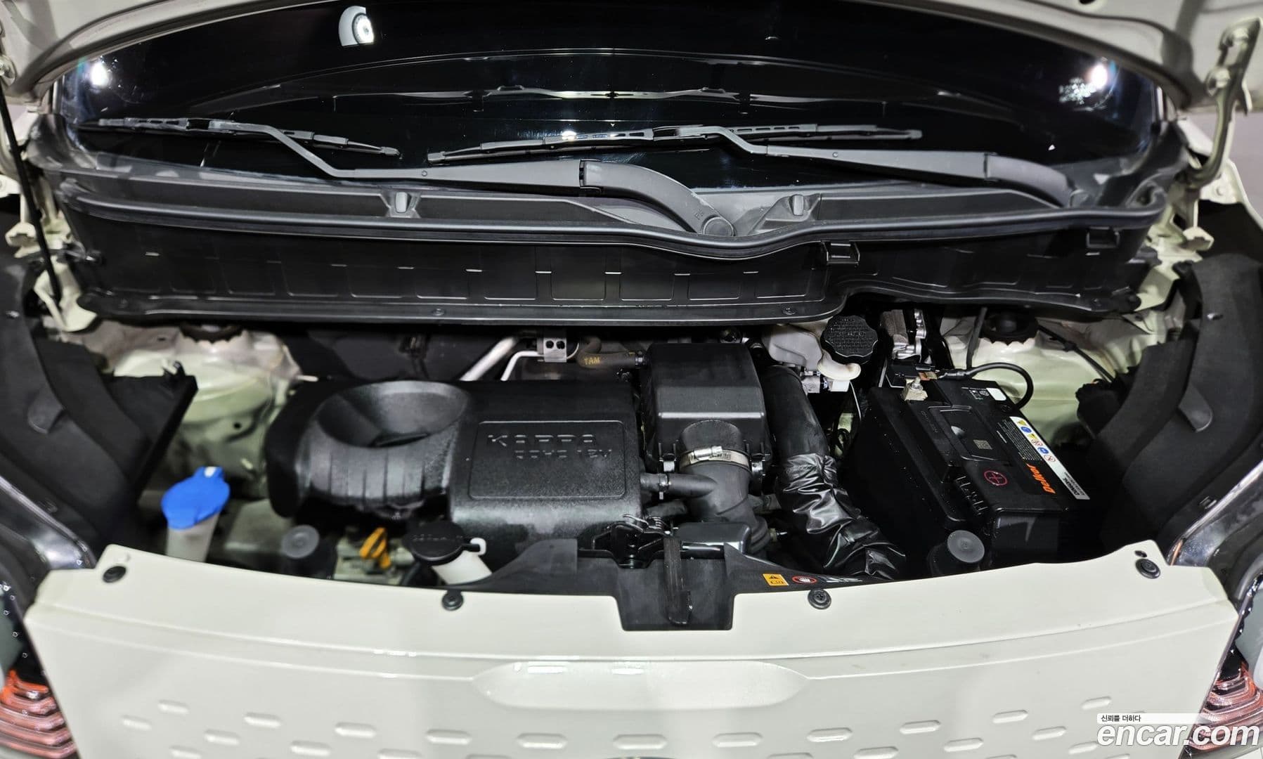 Main__Slider__Photo:RAY Kia 2019.2-18