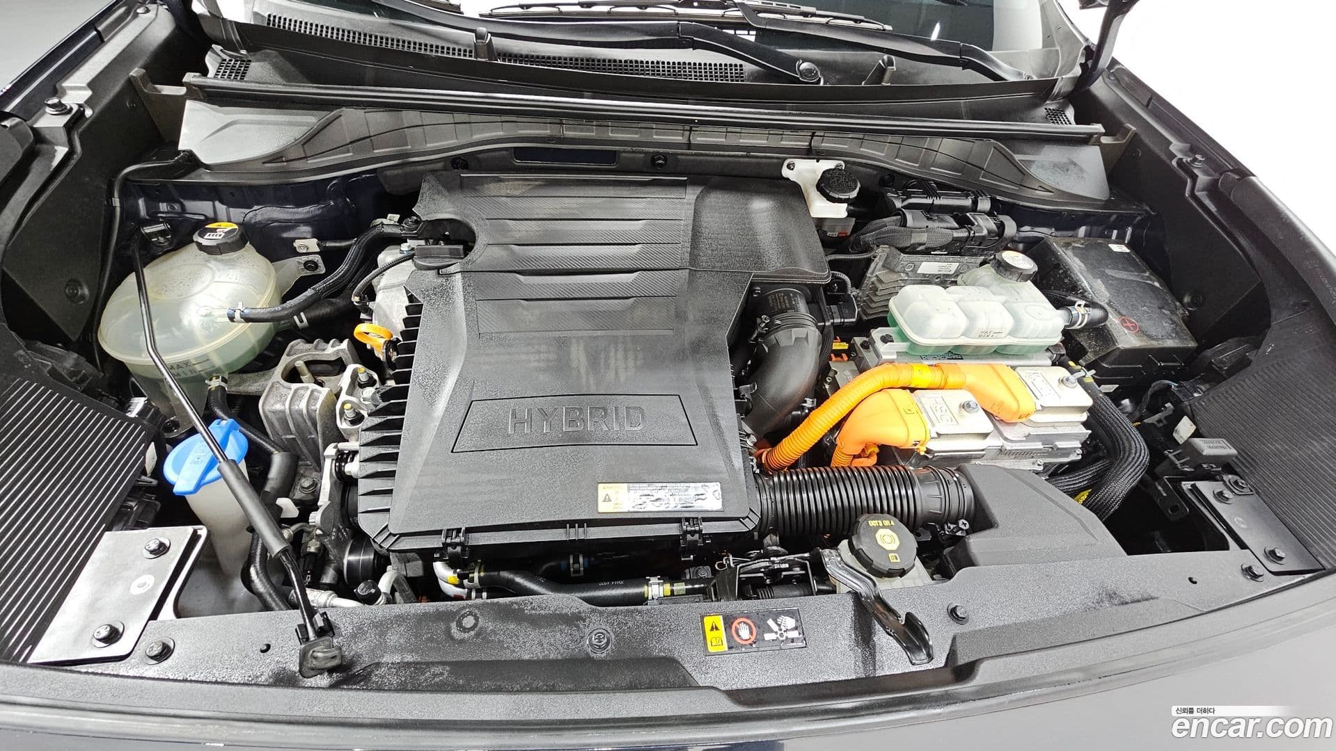 Main__Slider__Photo:Niro Kia 2020.1-5