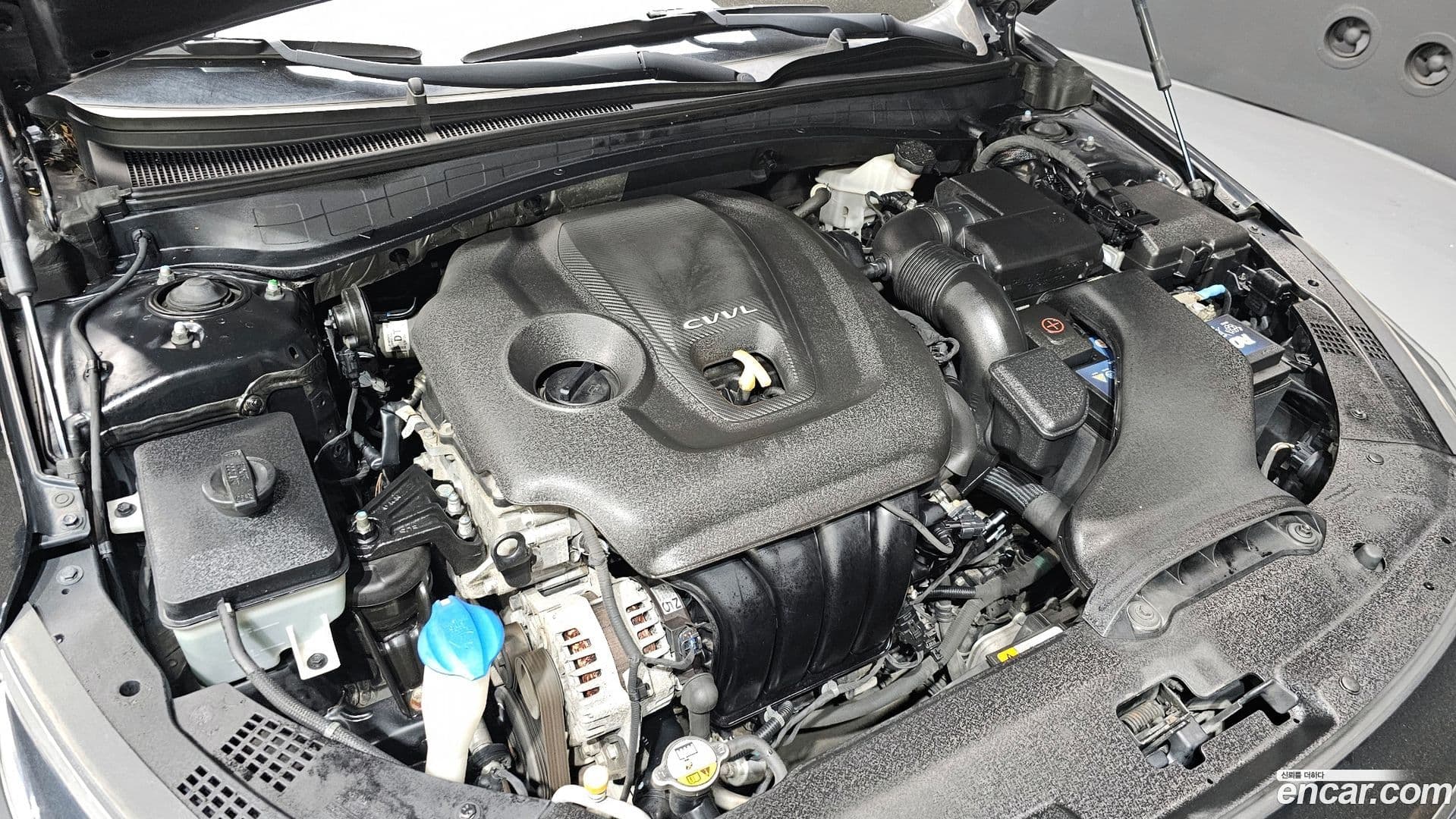 Main__Slider__Photo:K5 Kia 2016.10-5