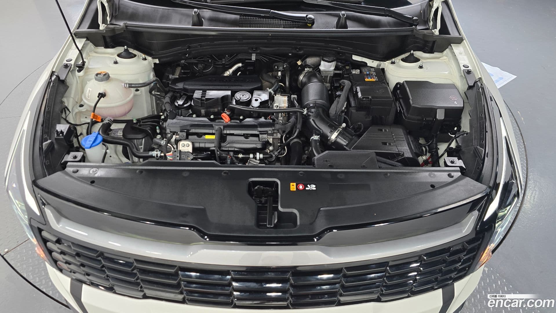 Main__Slider__Photo:Sportage Kia 2025.2-5