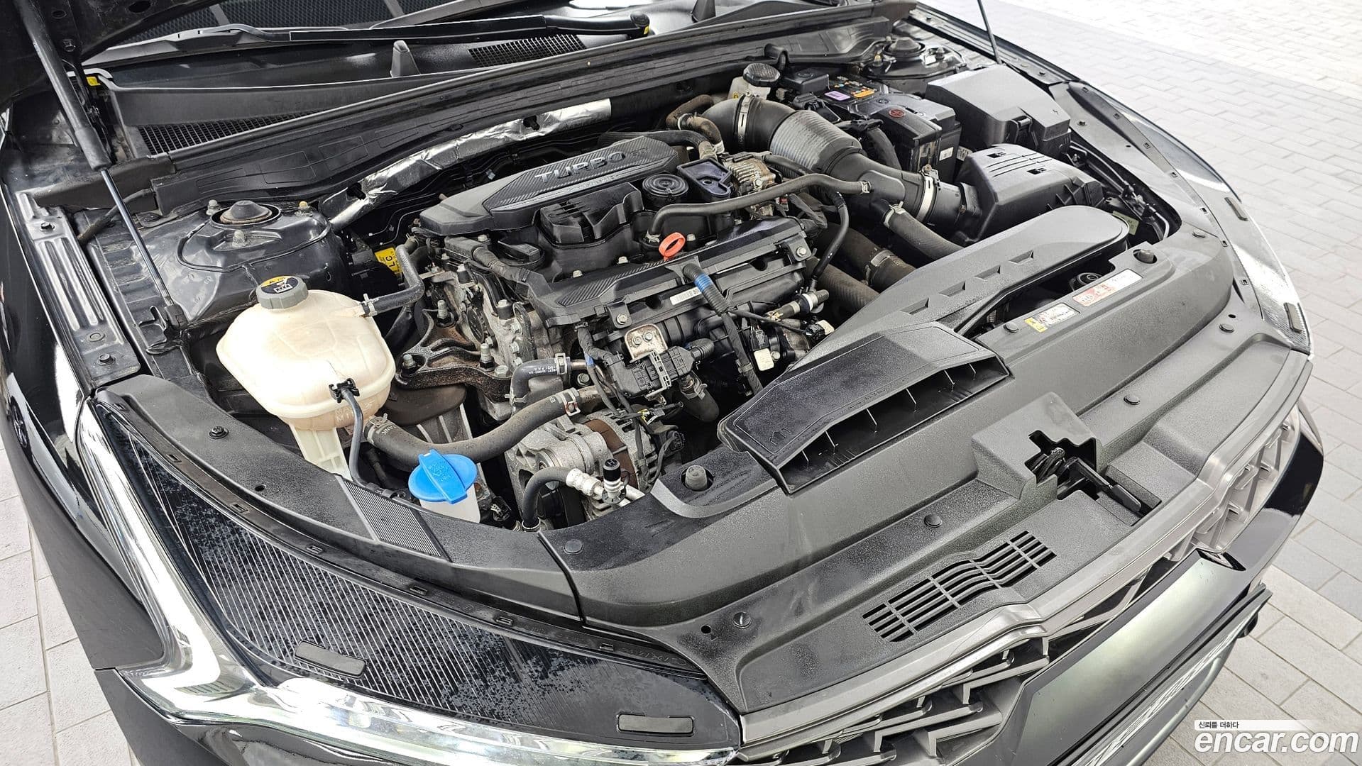 Main__Slider__Photo:K5 Kia 2021.0-5