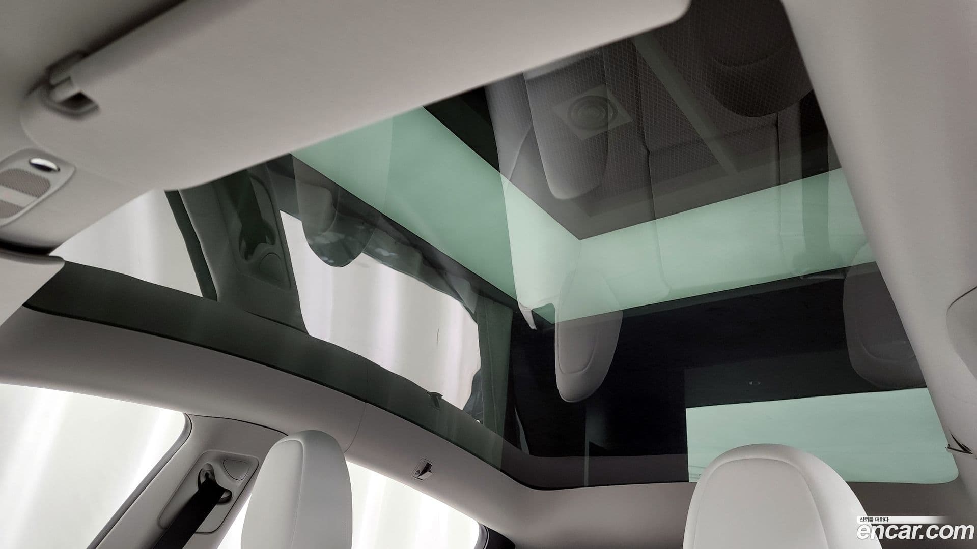 Main__Slider__Photo:Model Y Tesla 2023.10-17