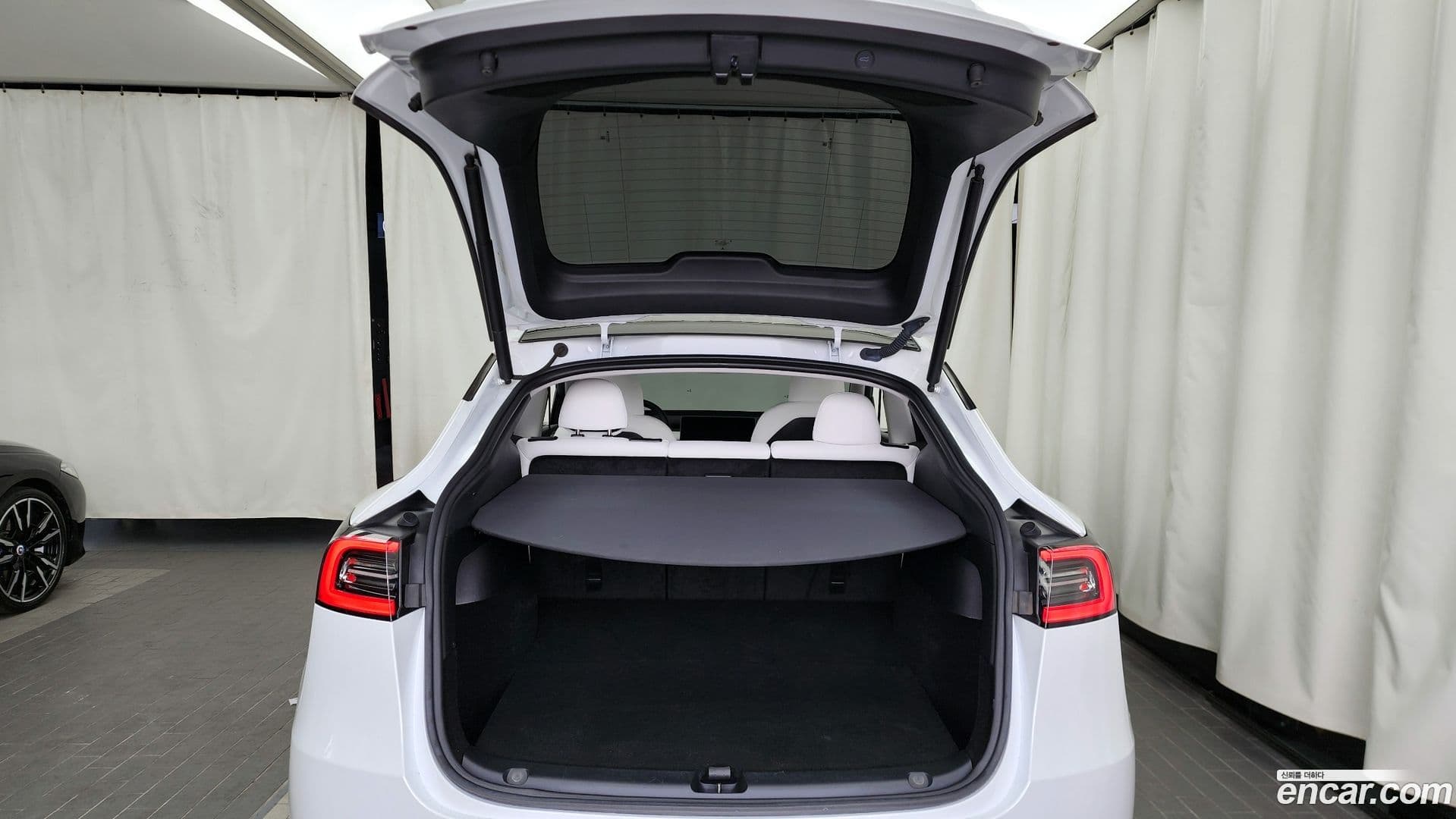 Main__Slider__Photo:Model Y Tesla 2023.10-19