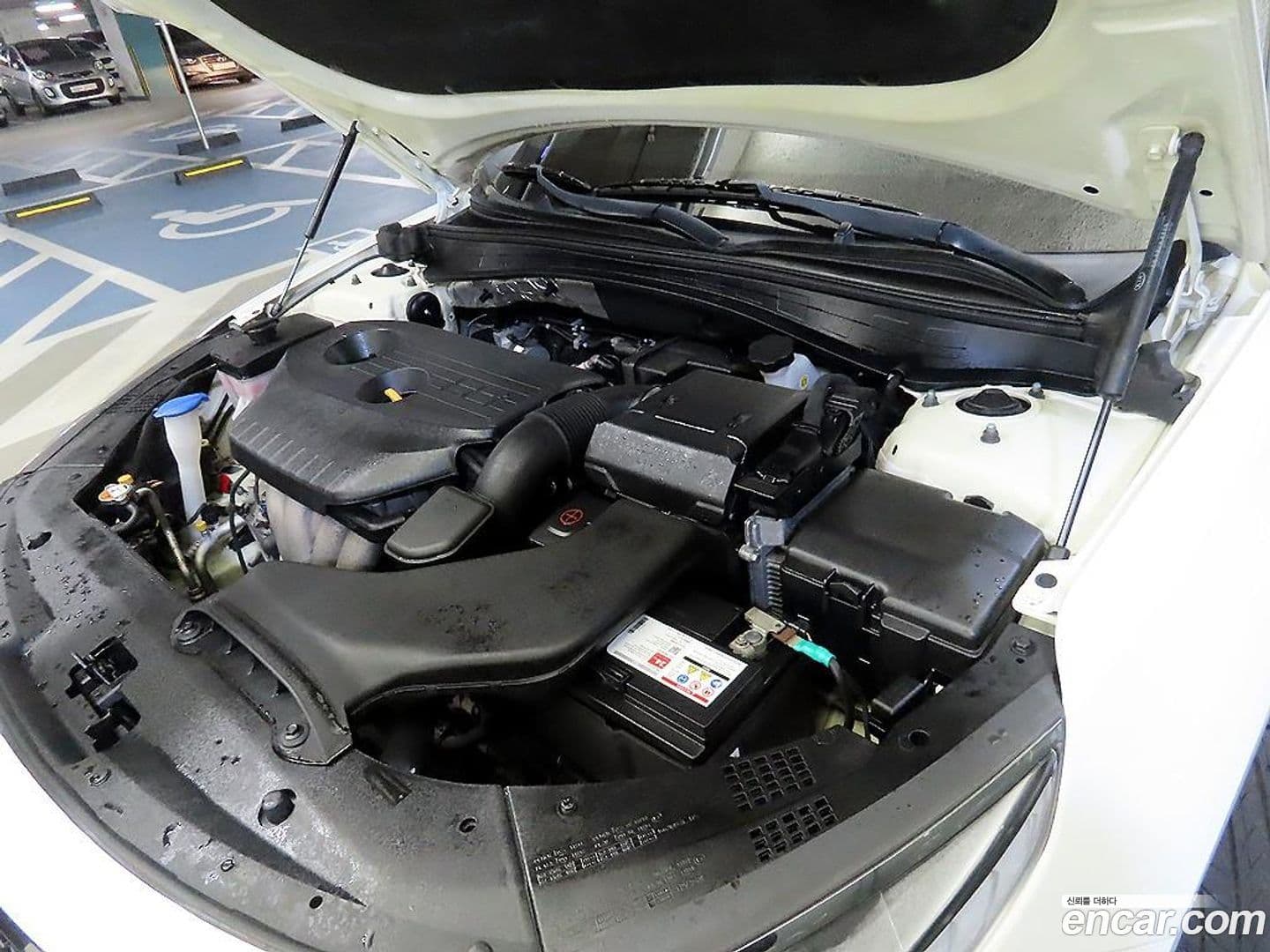 Main__Slider__Photo:K5 Kia 2017.5-18