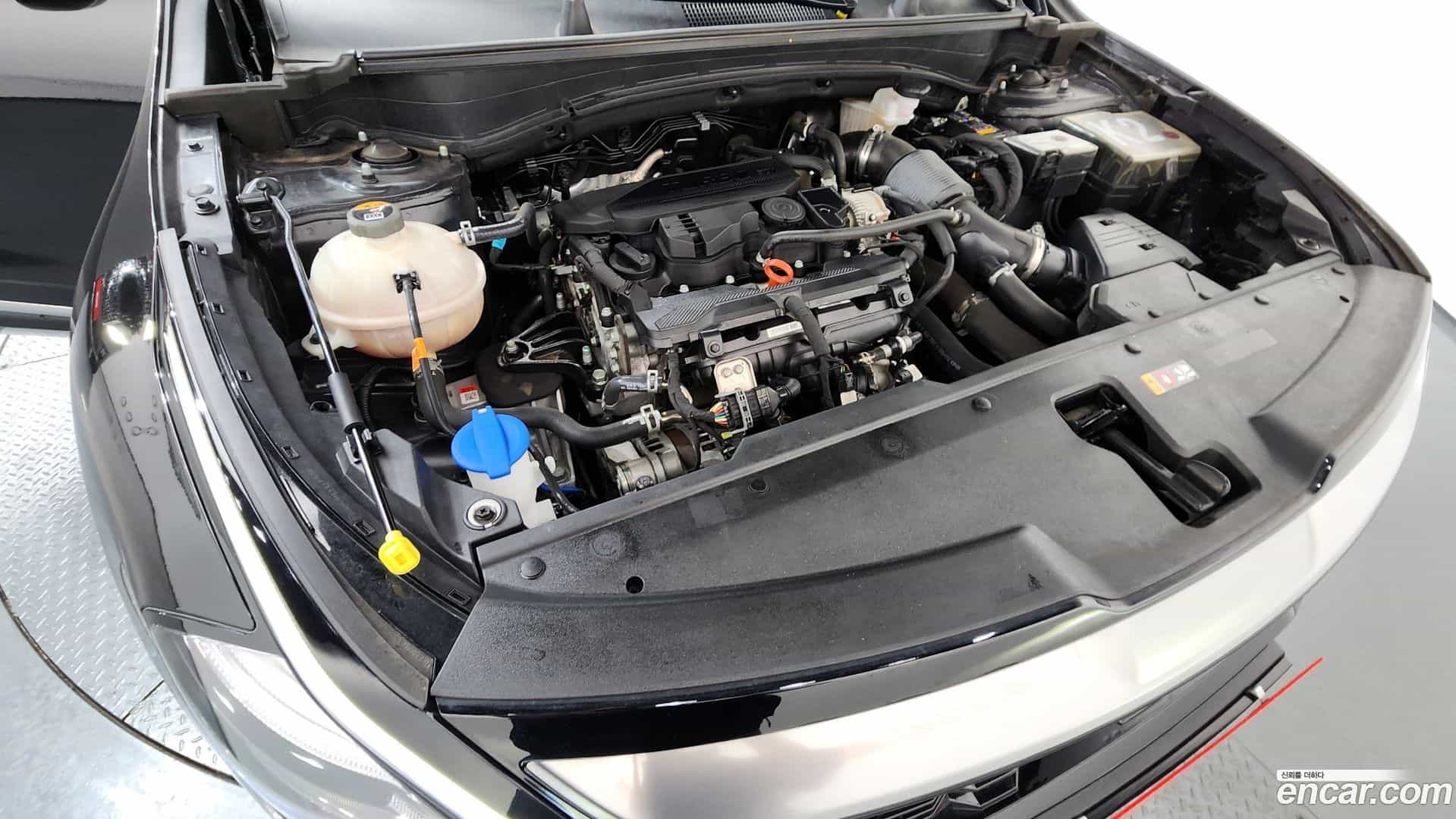 Sportage Kia 2021.9-OUTER-006