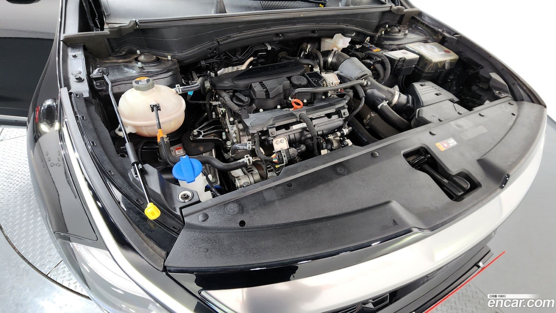 Main__Slider__Photo:Sportage Kia 2021.9-5