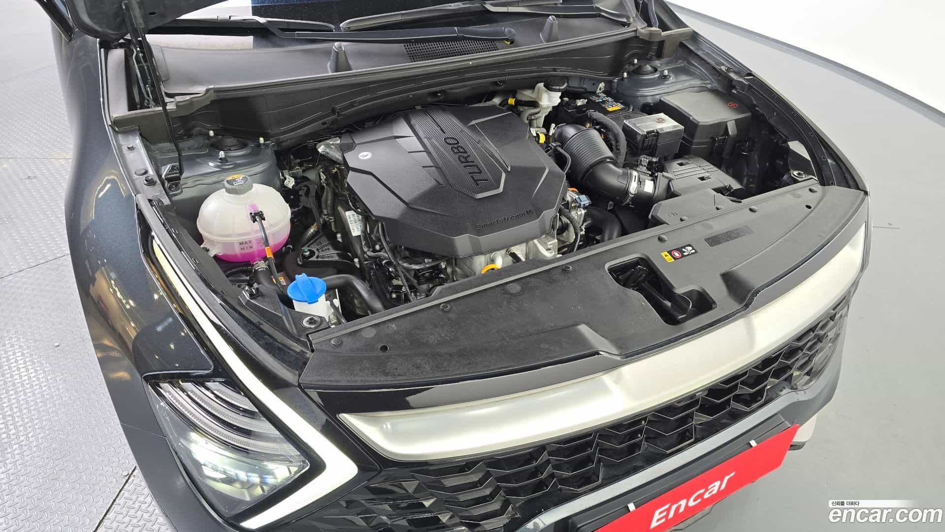 Sportage Kia 2024.9-OUTER-006