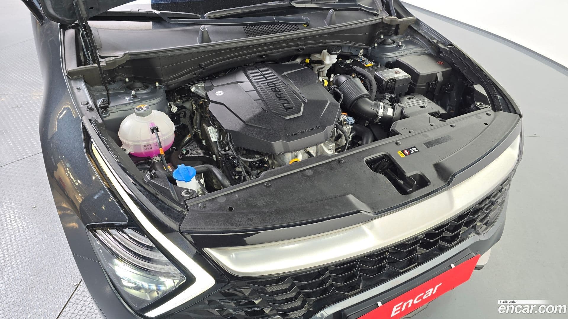 Main__Slider__Photo:Sportage Kia 2024.9-5