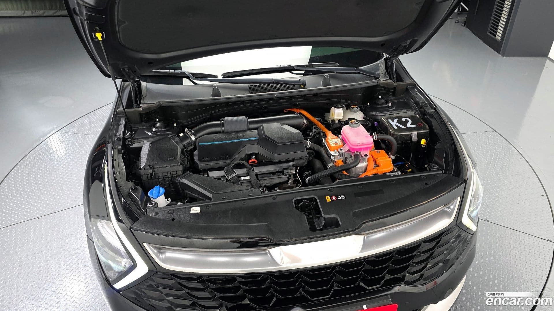 Main__Slider__Photo:Sportage Kia 2022.2-5