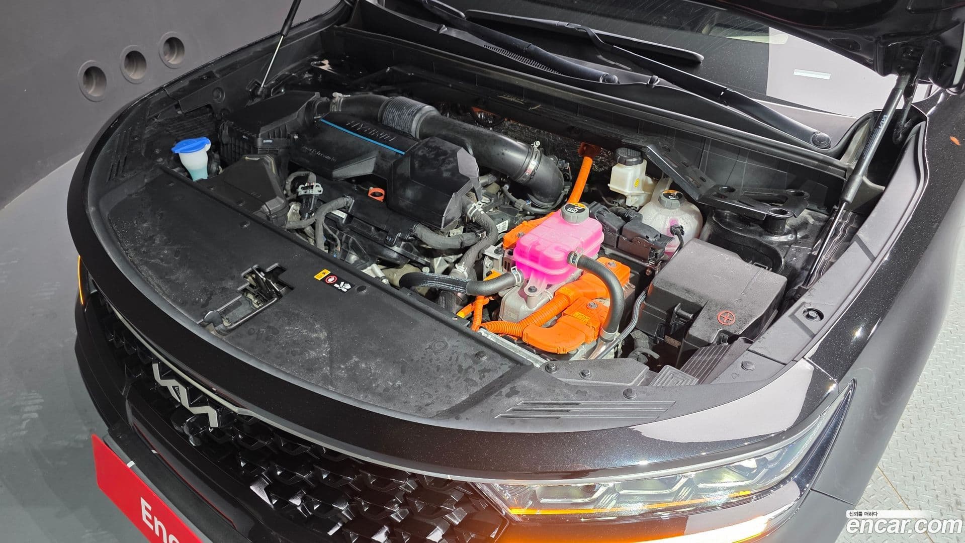 Main__Slider__Photo:Sorento Kia 2022.11-5