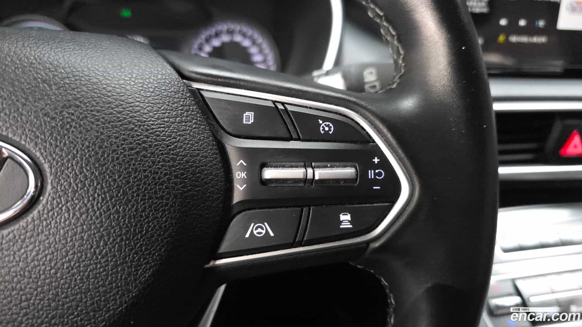 Santafe Hyundai 2022.10-OPTION-020