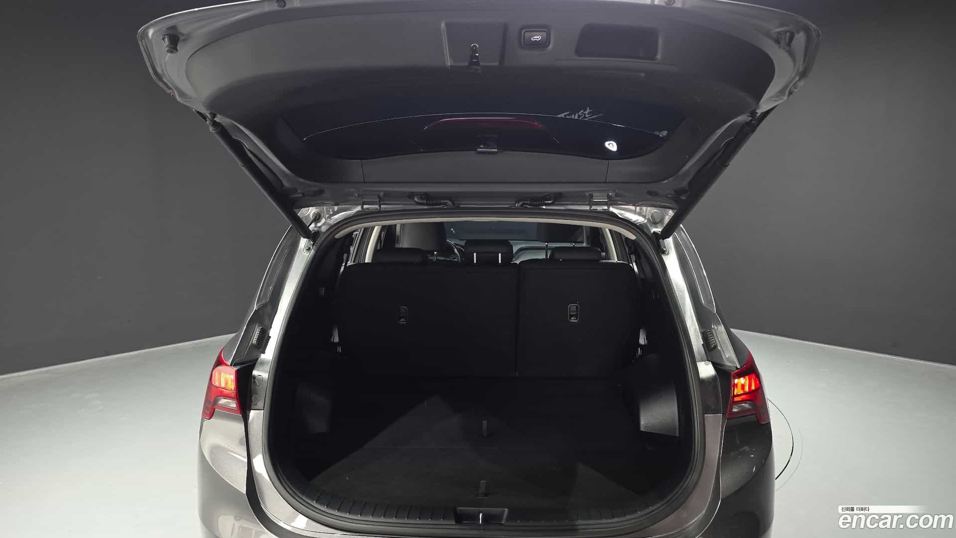 Santafe Hyundai 2022.10-OPTION-024