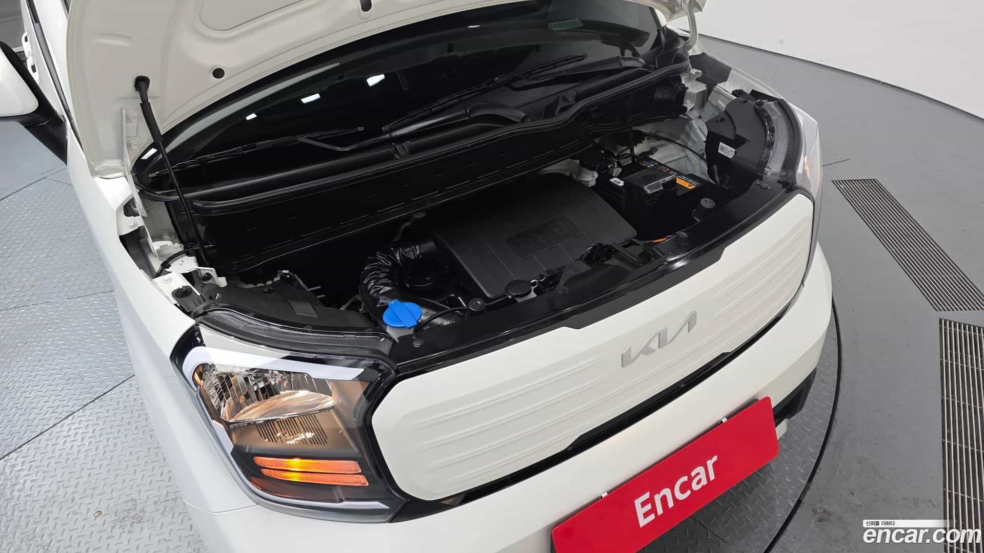 RAY Kia 2024.3-OUTER-006