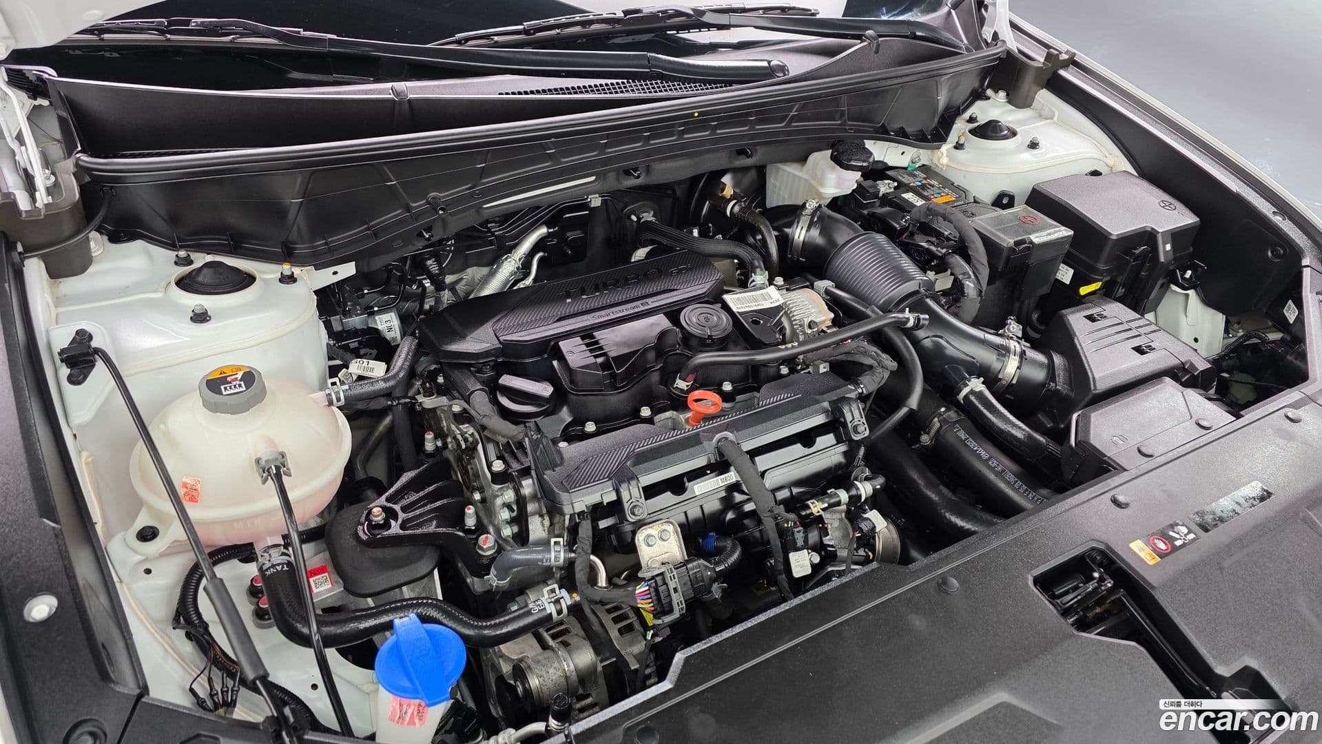 Main__Slider__Photo:Tucson Hyundai 2024.6-5