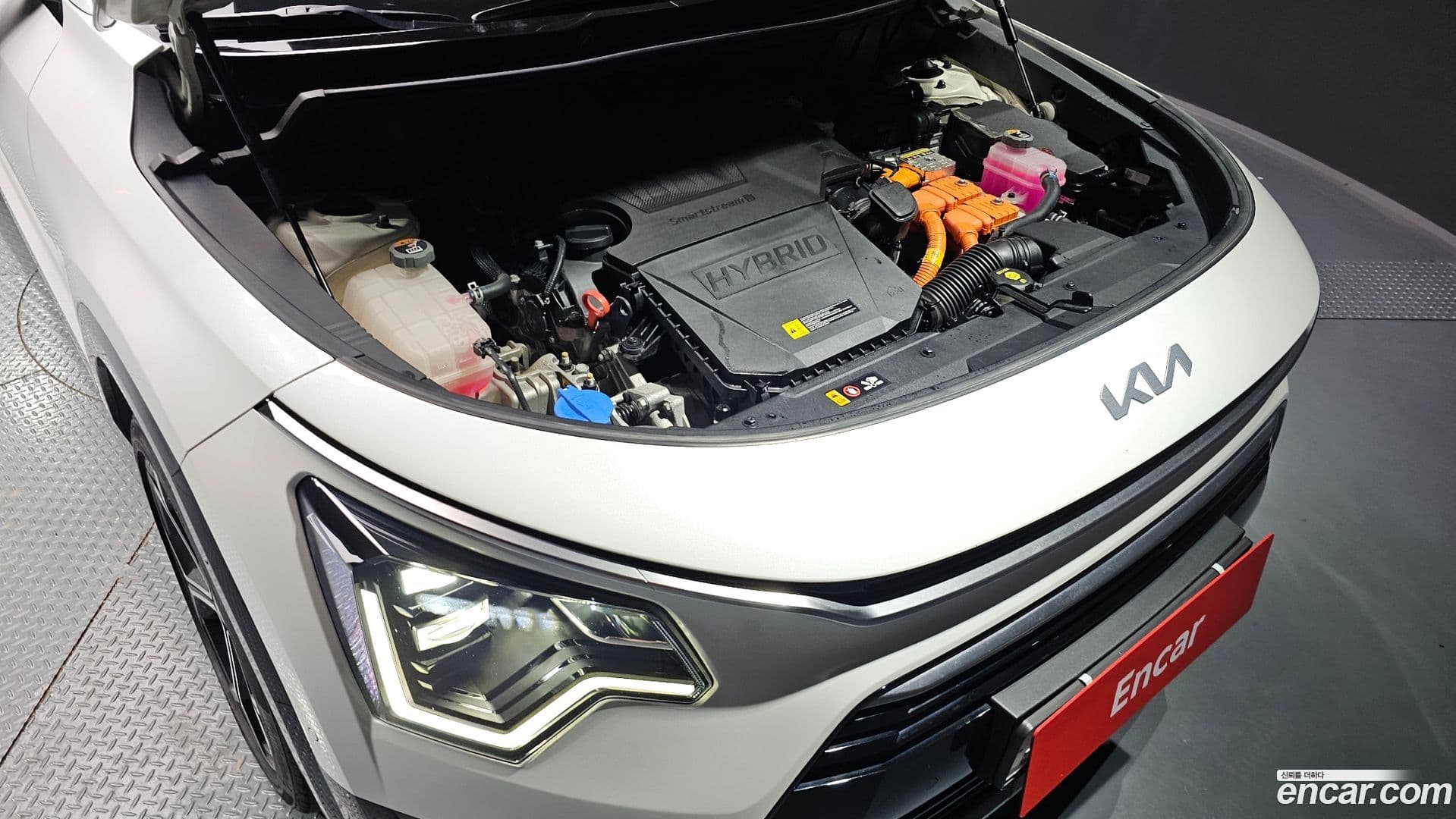 Main__Slider__Photo:Niro Kia 2022.6-5