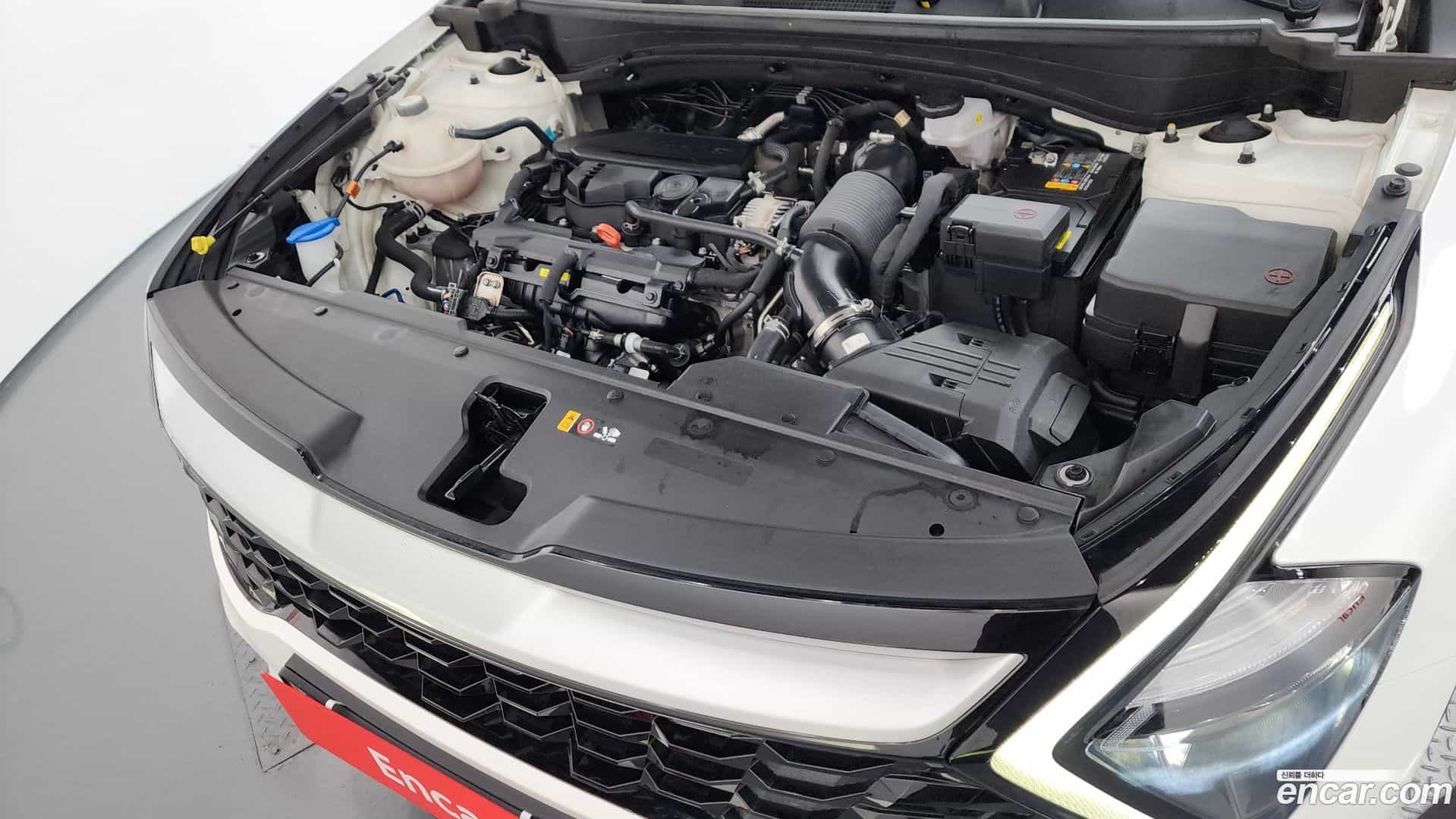 Sportage Kia 2023.8-OUTER-006