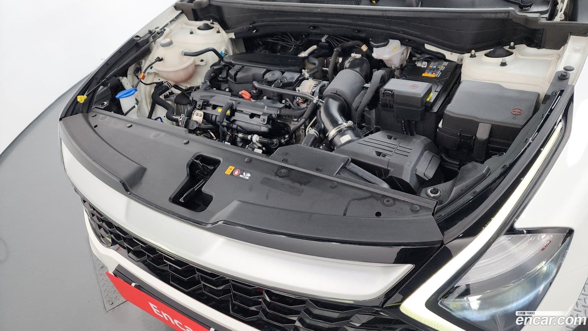 Main__Slider__Photo:Sportage Kia 2023.8-5