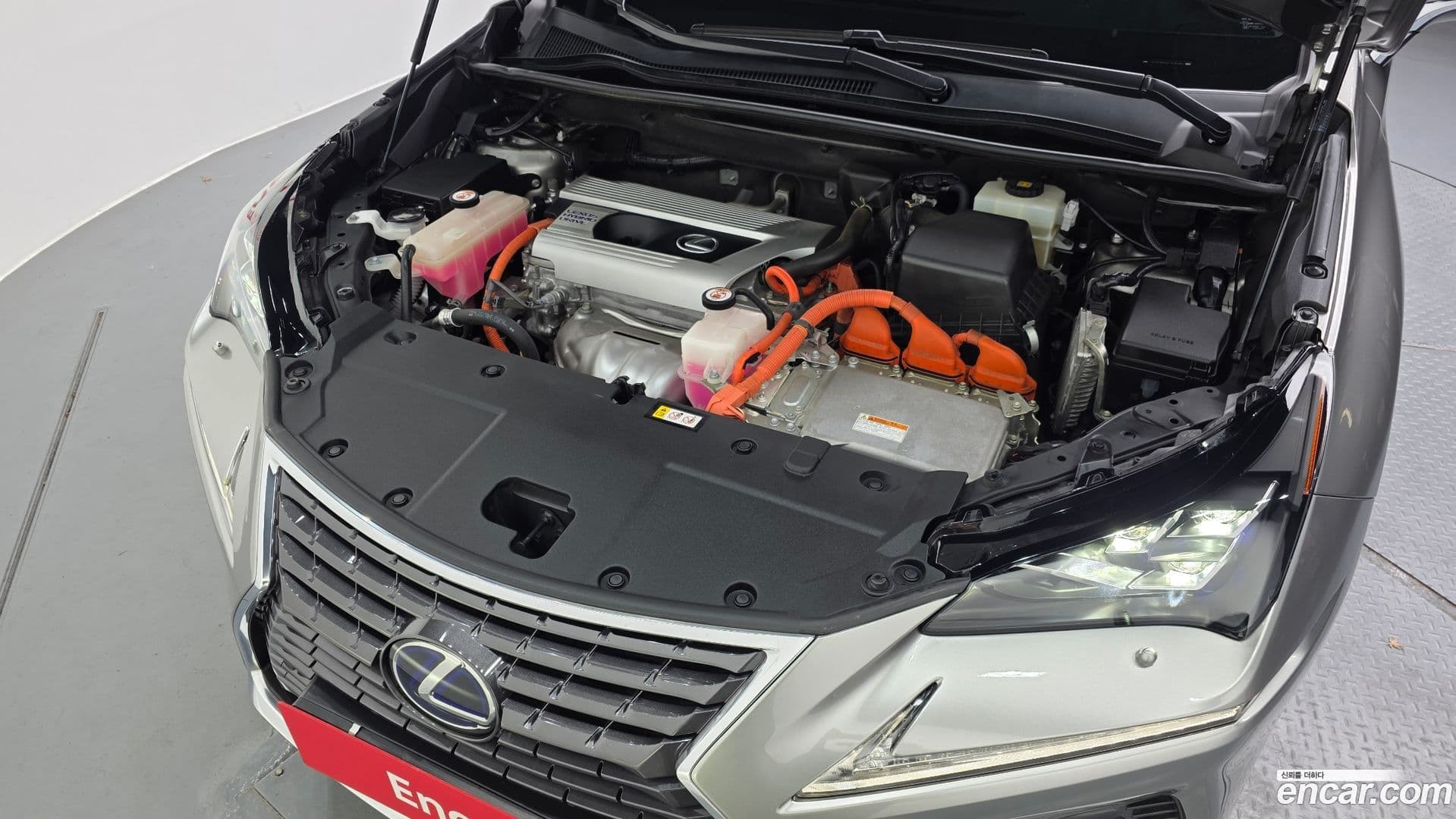 Main__Slider__Photo:NX Lexus 2020.2-5