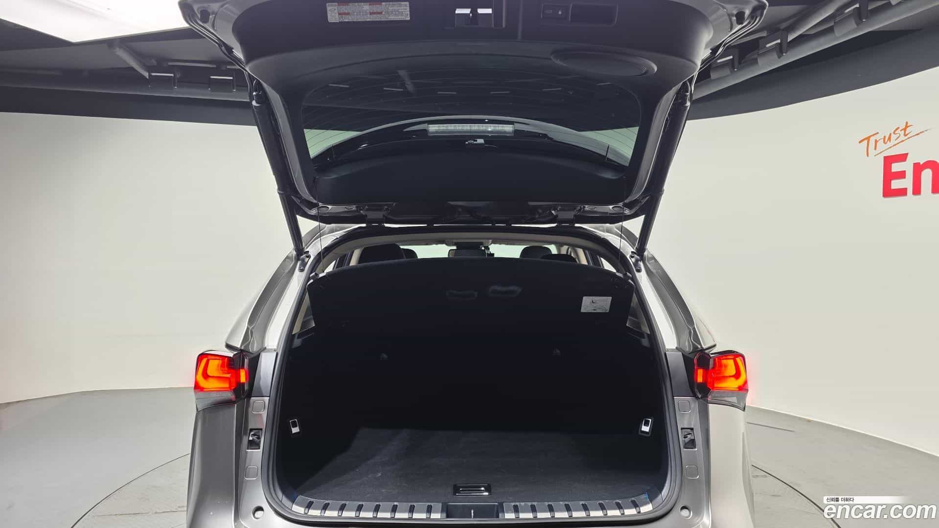 NX Lexus 2020.2-OPTION-024