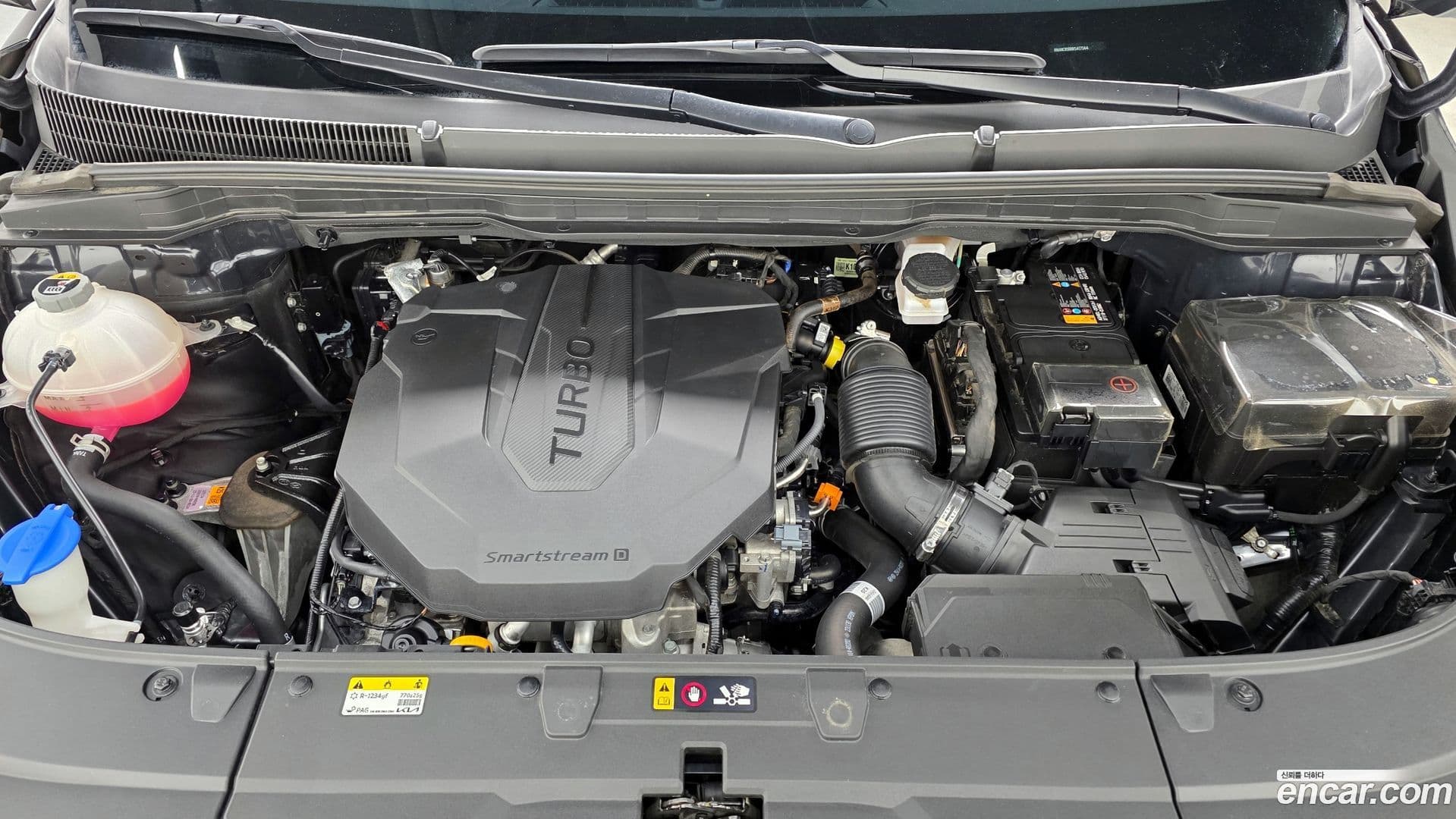 Main__Slider__Photo:Canival Kia 2024.0-5