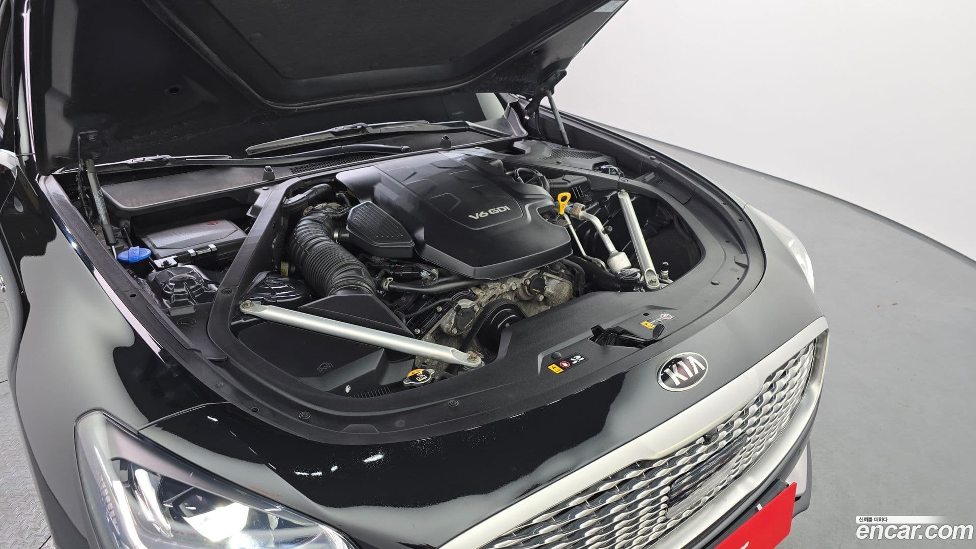 Main__Slider__Photo:K9 Kia 2018.10-5