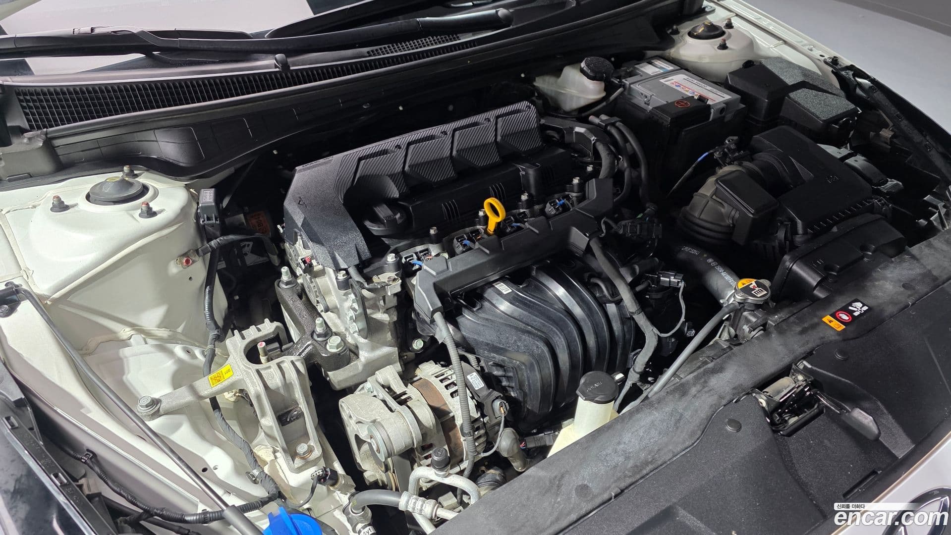 Main__Slider__Photo:AVANTE Hyundai 2020.8-5