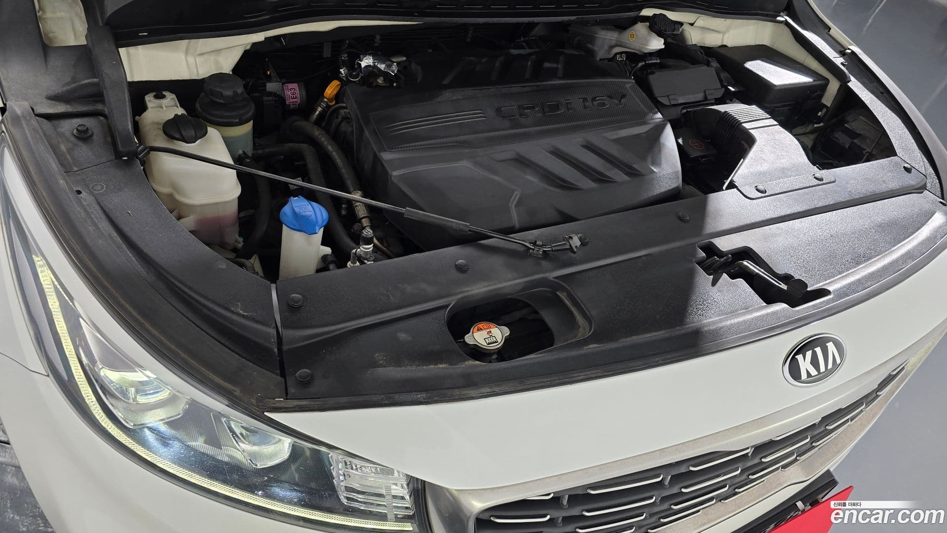 Main__Slider__Photo:Canival Kia 2018.8-5