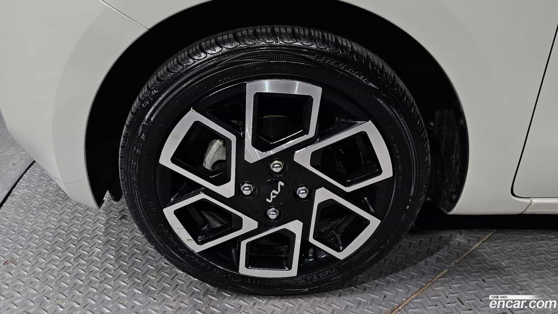 RAY Kia 2023.8-OUTER-005