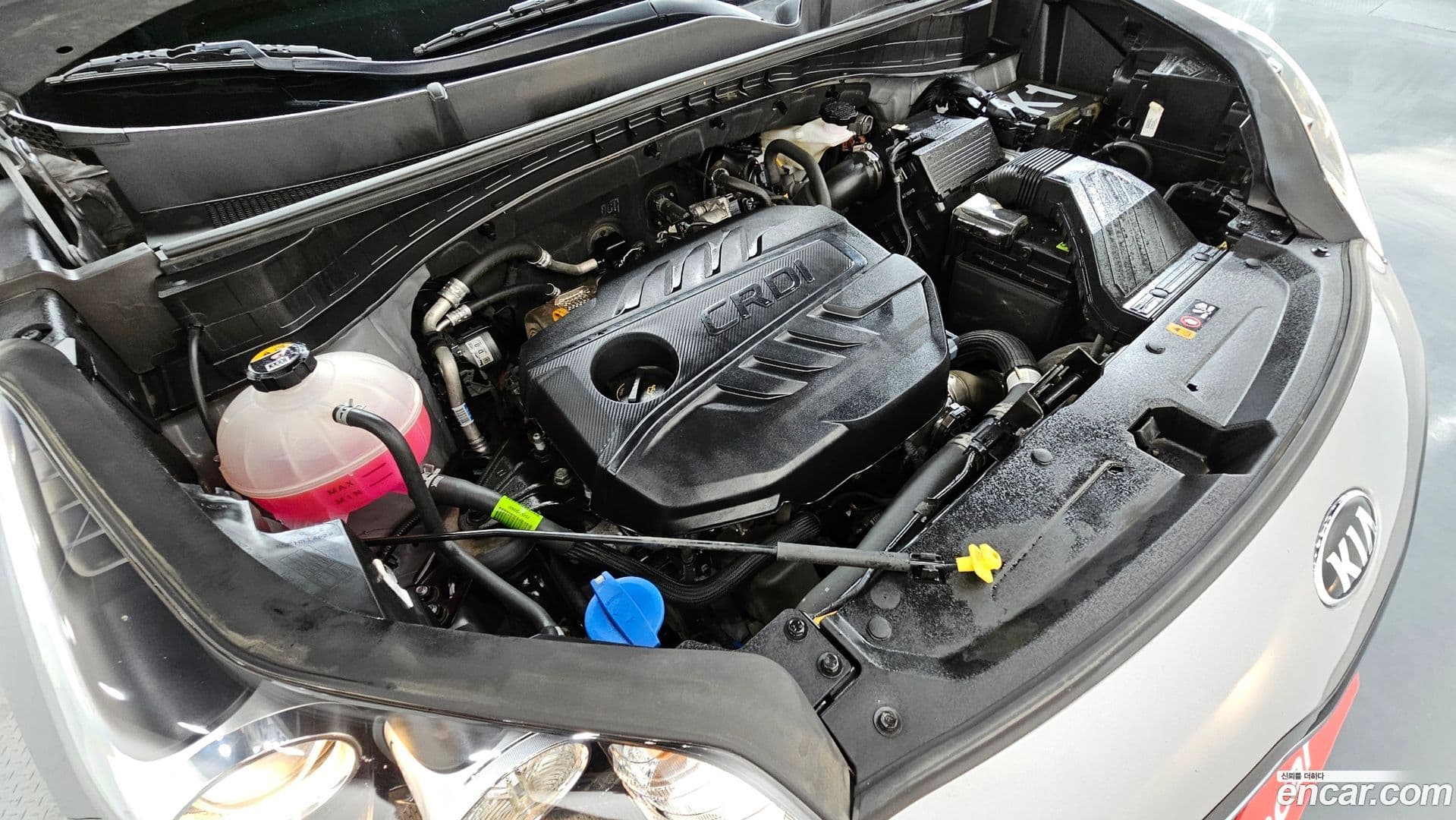 Main__Slider__Photo:Sportage Kia 2021.6-5