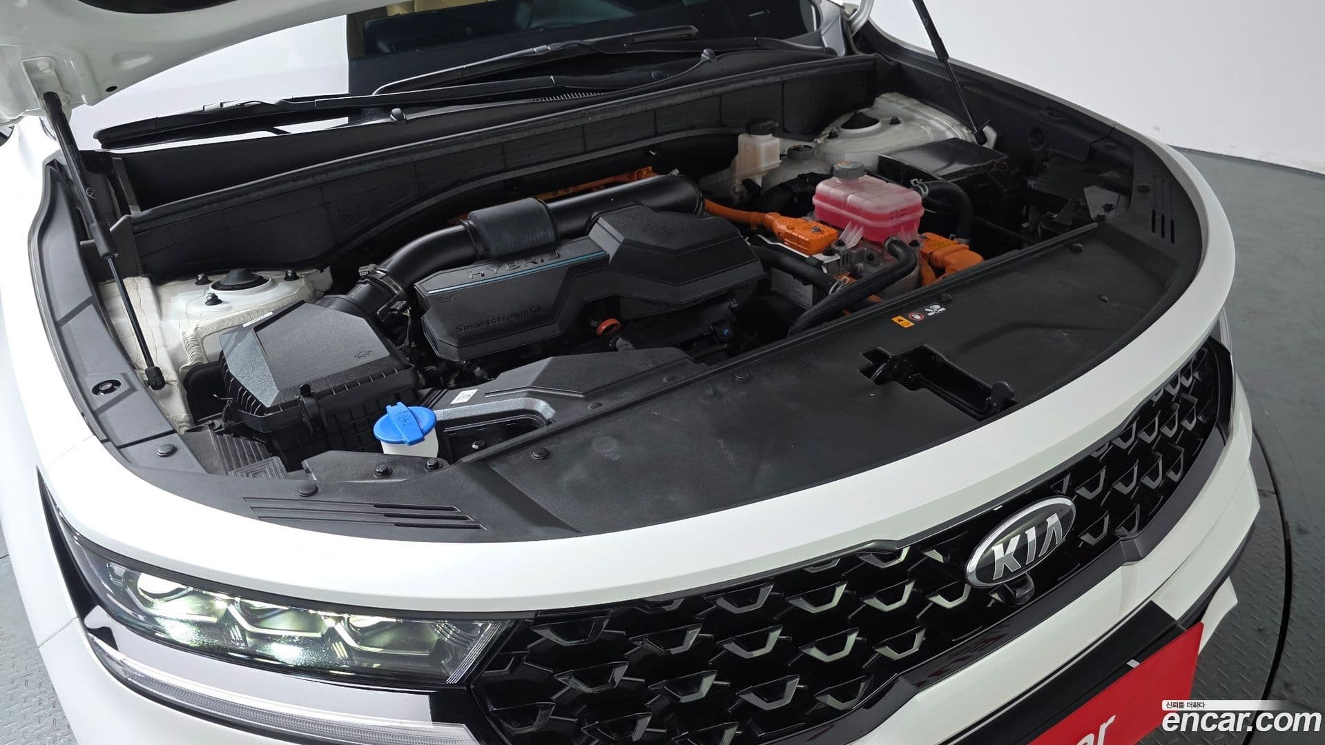 Main__Slider__Photo:Sorento Kia 2021.0-5