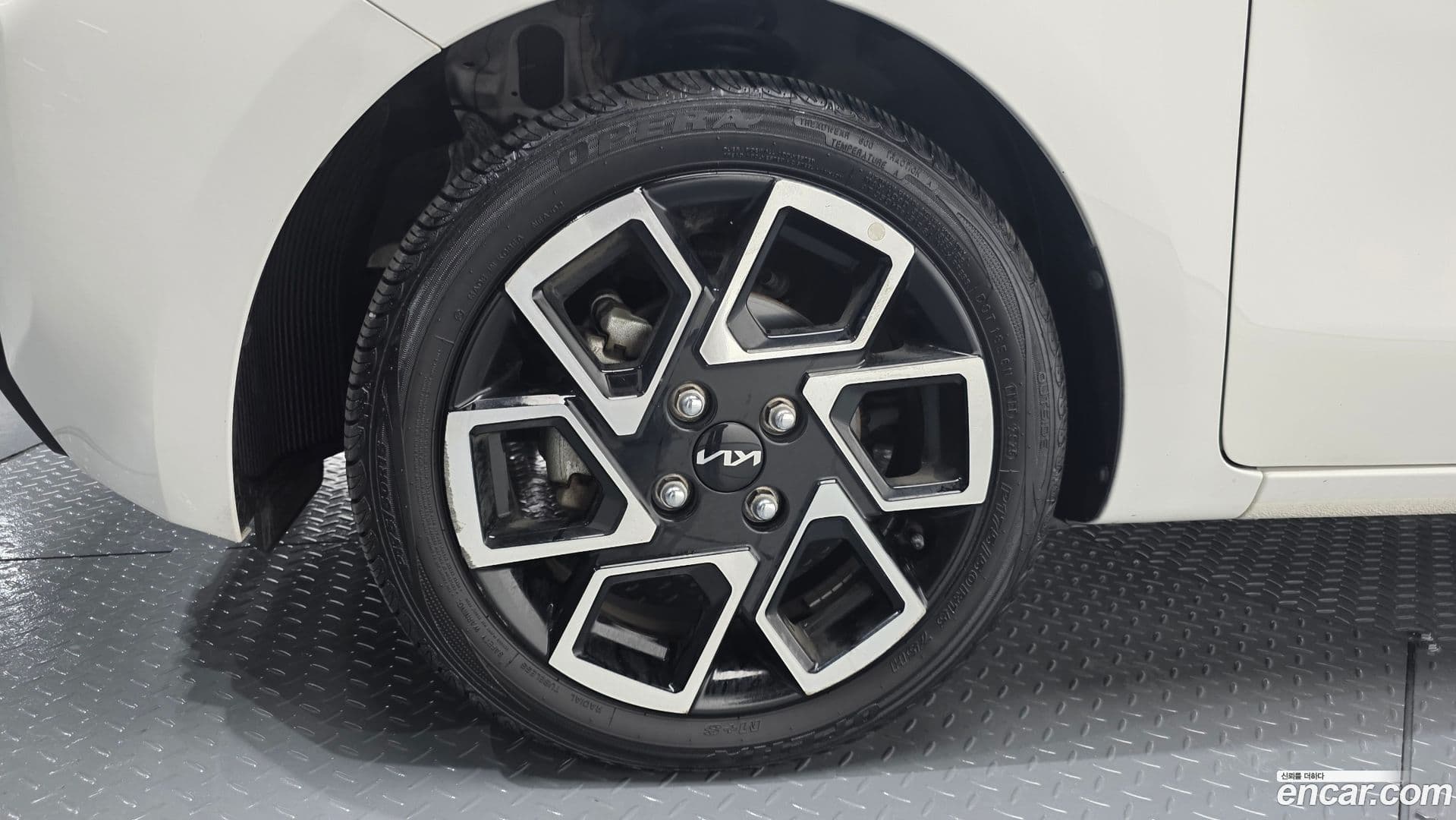 Main__Slider__Photo:RAY Kia 2022.11-4