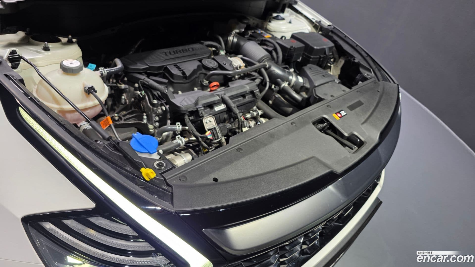 Main__Slider__Photo:Sportage Kia 2023.6-5