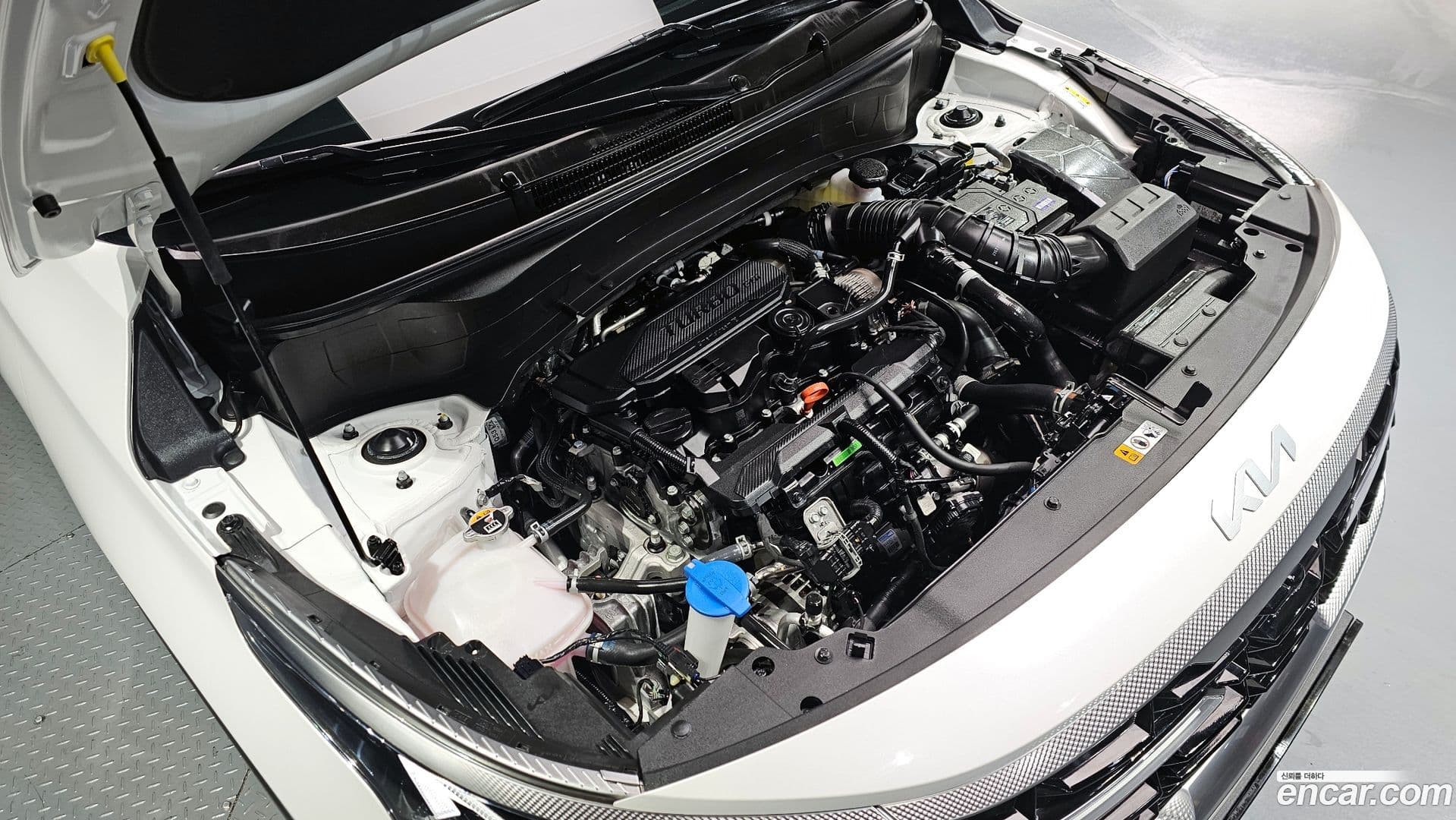 Main__Slider__Photo:Seltos Kia 2024.11-5