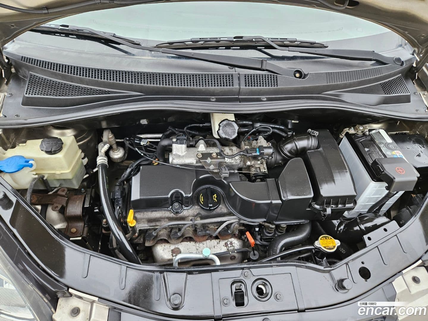 Main__Slider__Photo:morning Kia 2009.4-2