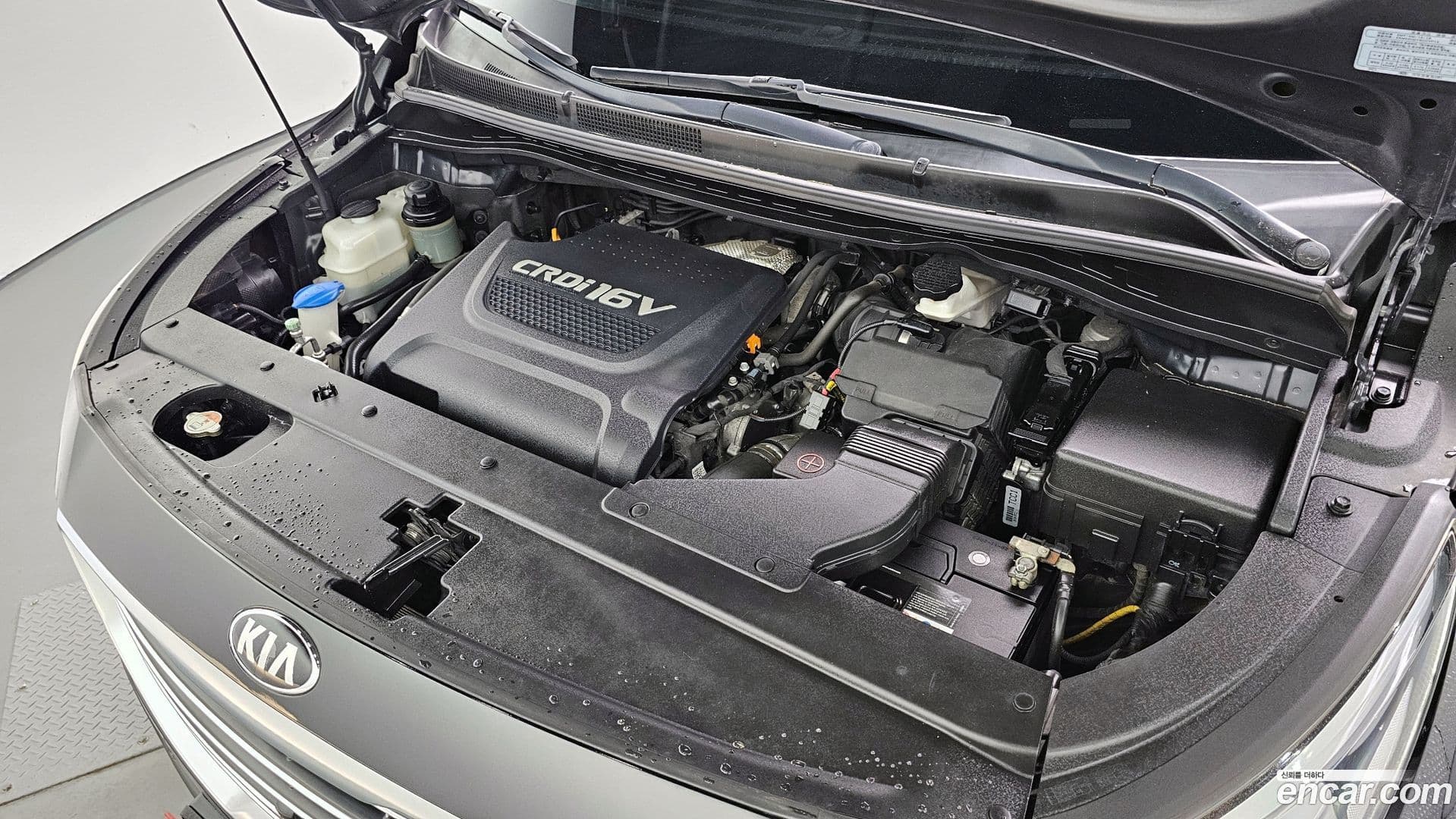 Main__Slider__Photo:Canival Kia 2018.1-5