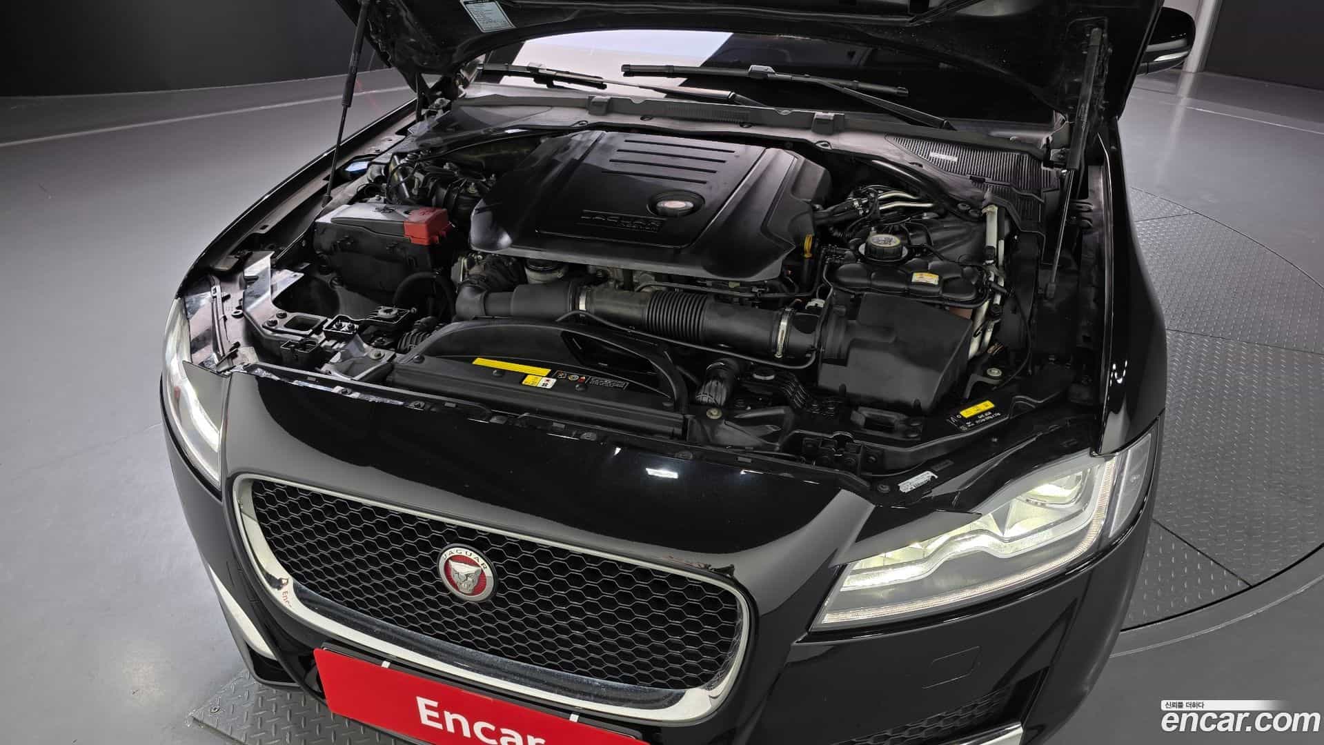 XF Jaguar 2017.11-INNER-006