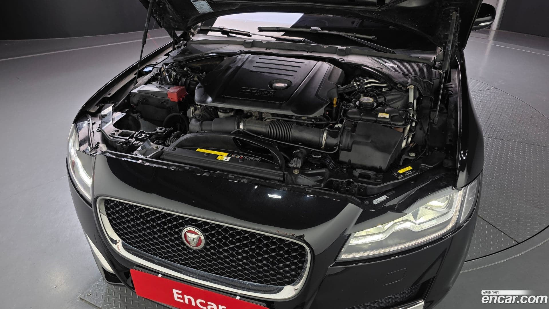 Main__Slider__Photo:XF Jaguar 2017.11-5