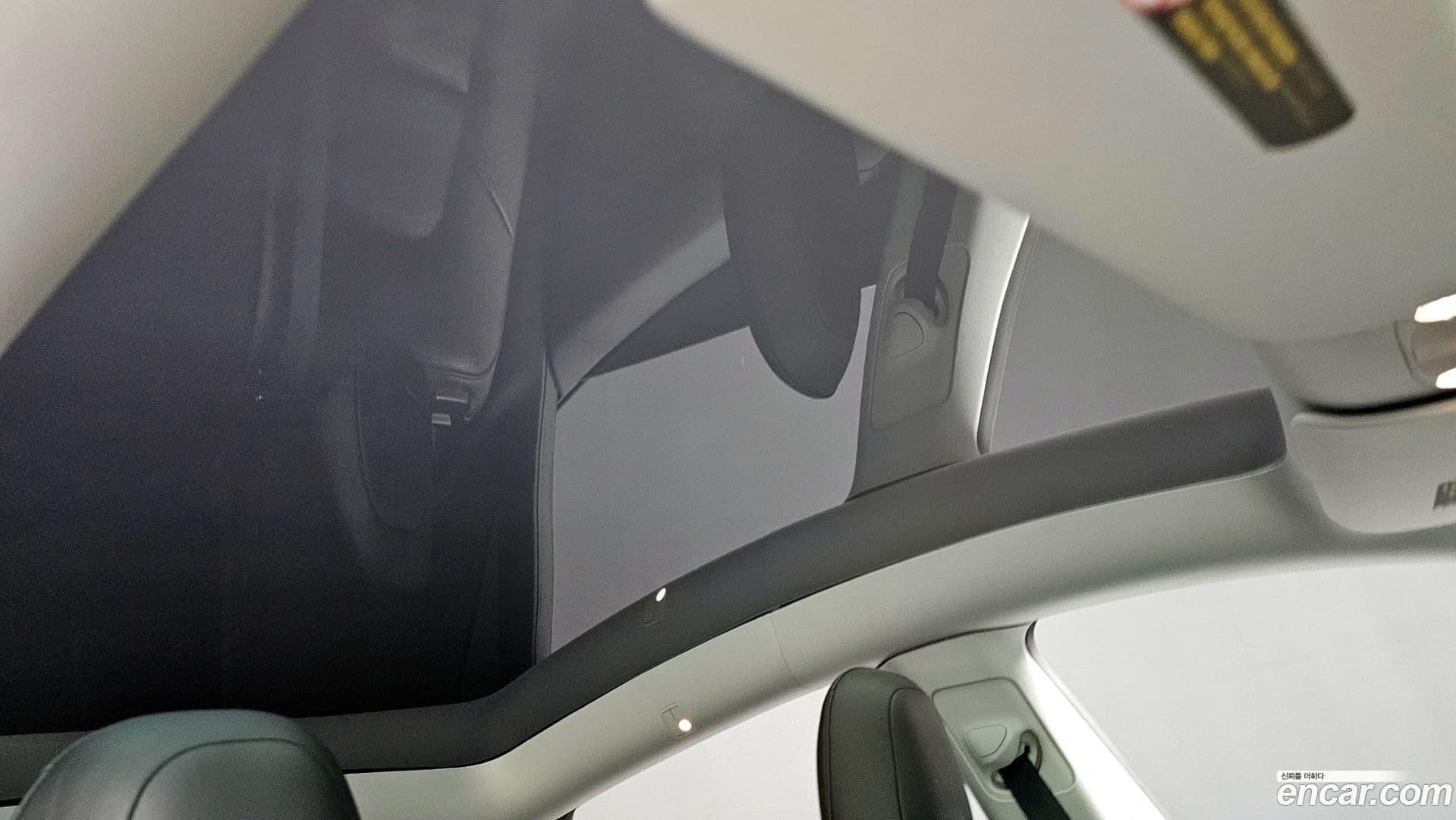 Main__Slider__Photo:Model Y Tesla 2021.7-18