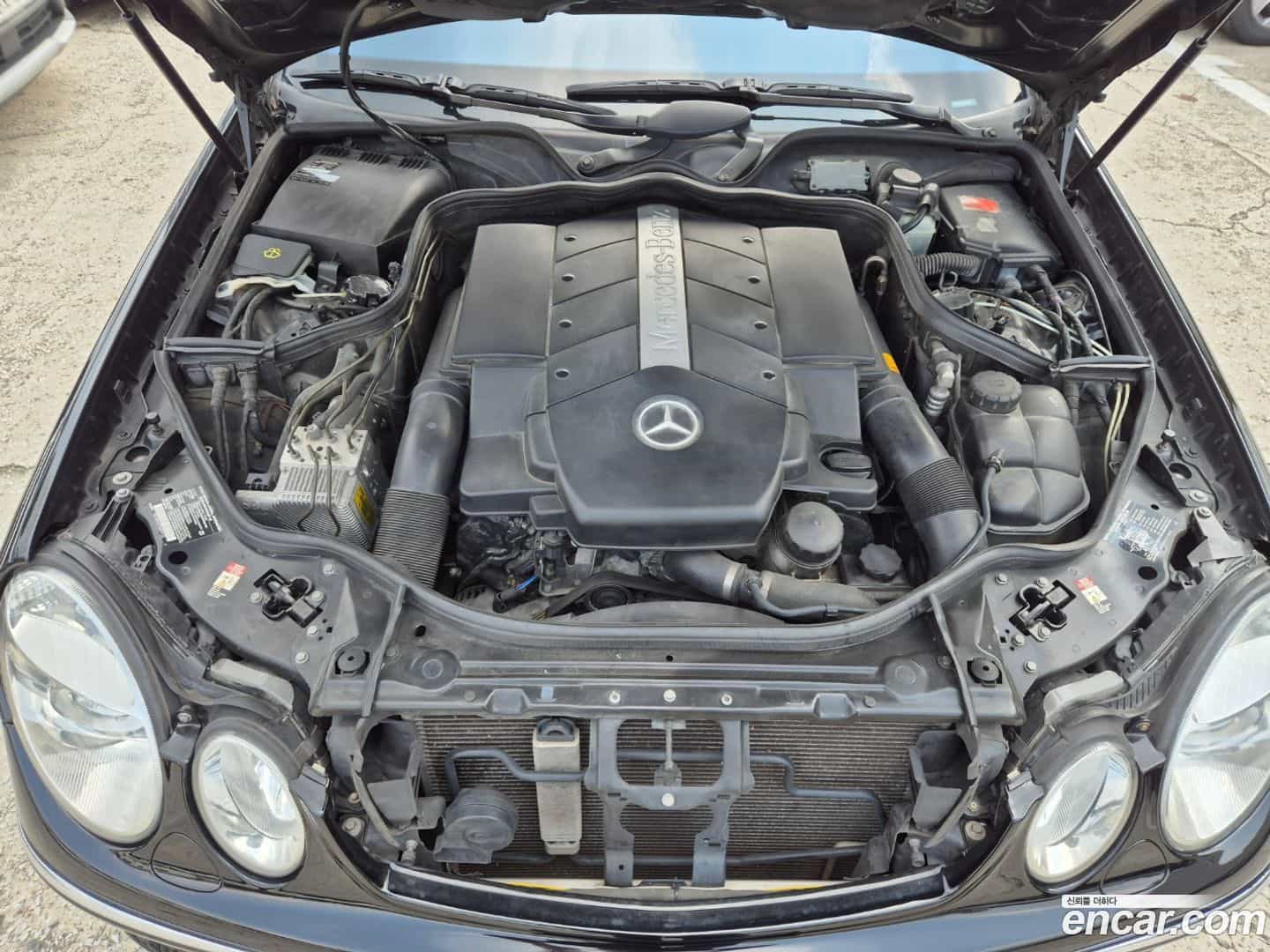 E-Class Mercedes-Benz 2003.11-OPTION-020