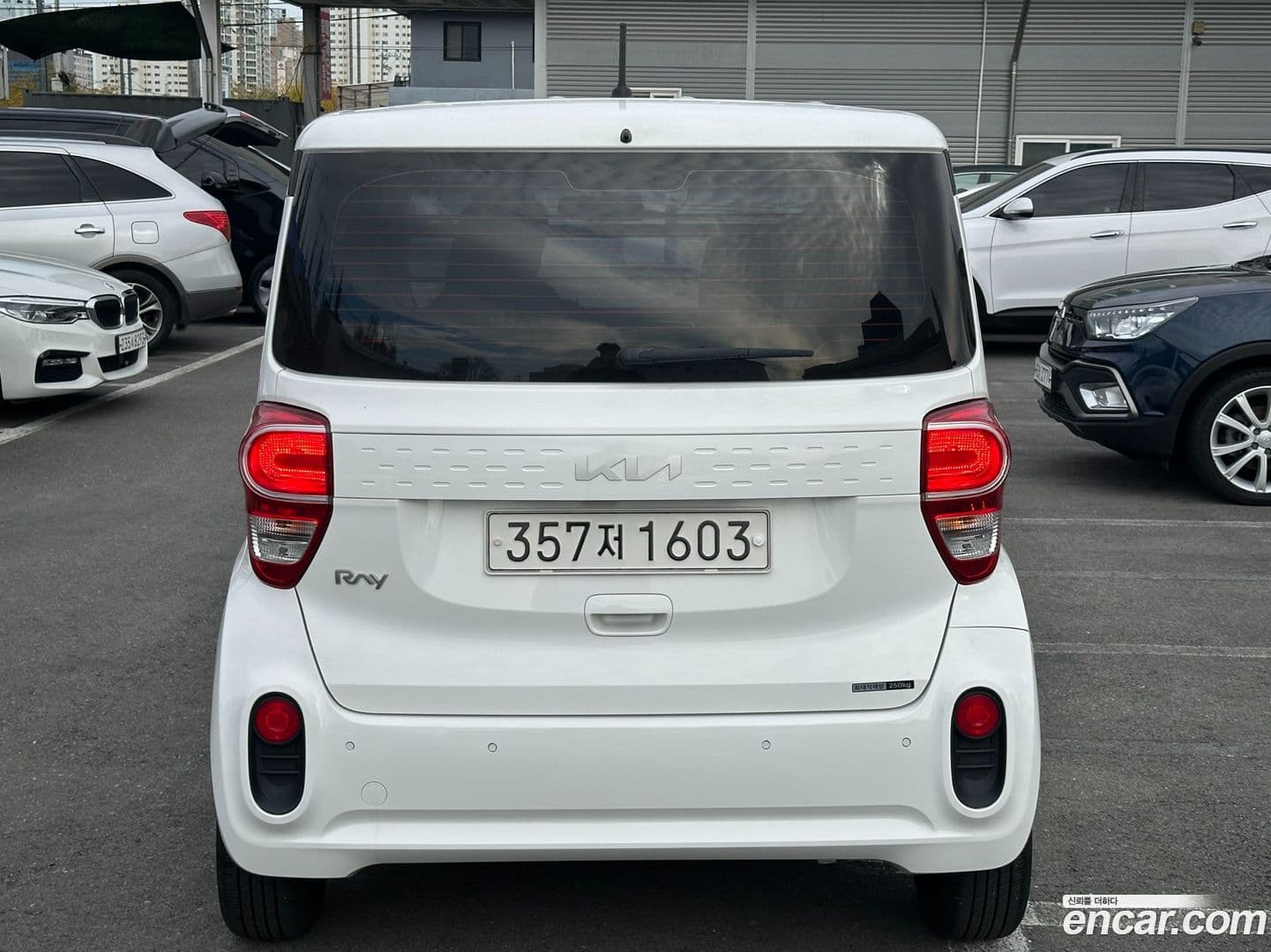 Main__Slider__Photo:RAY Kia 2021.8-1