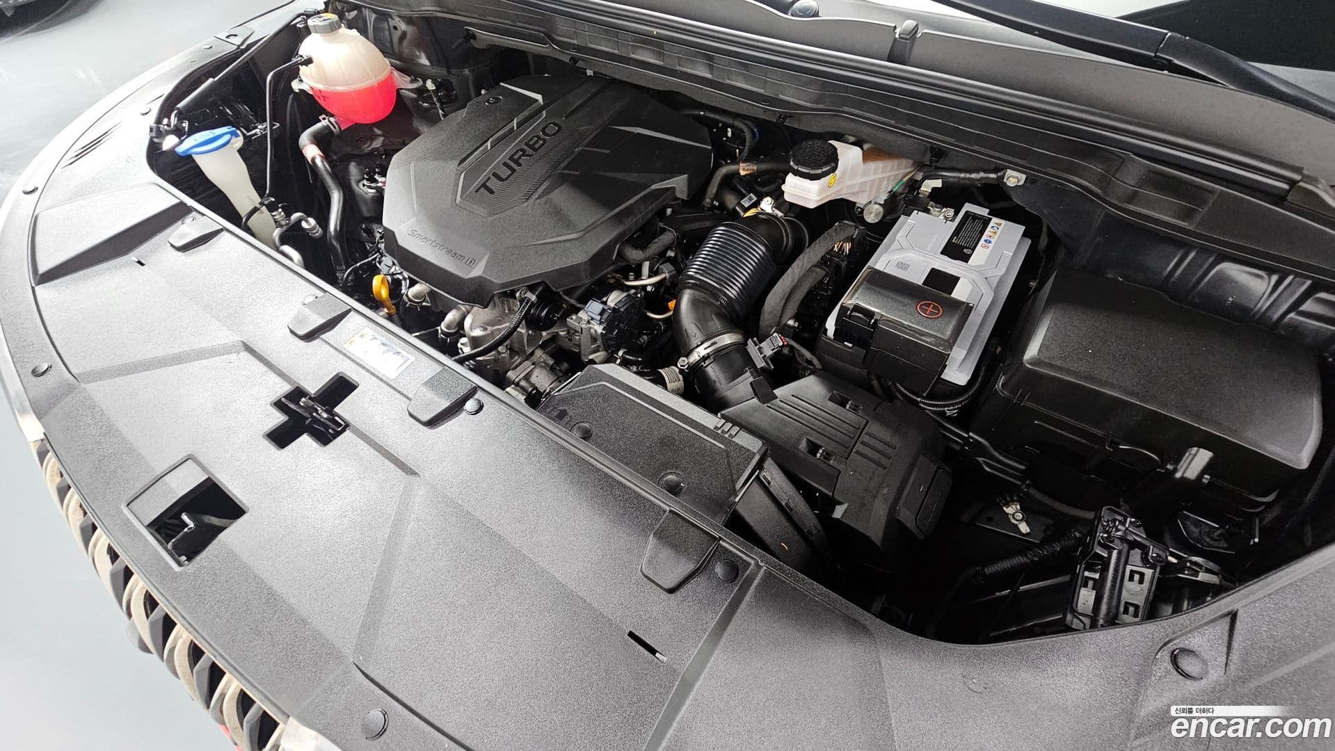 Main__Slider__Photo:Canival Kia 2021.8-5