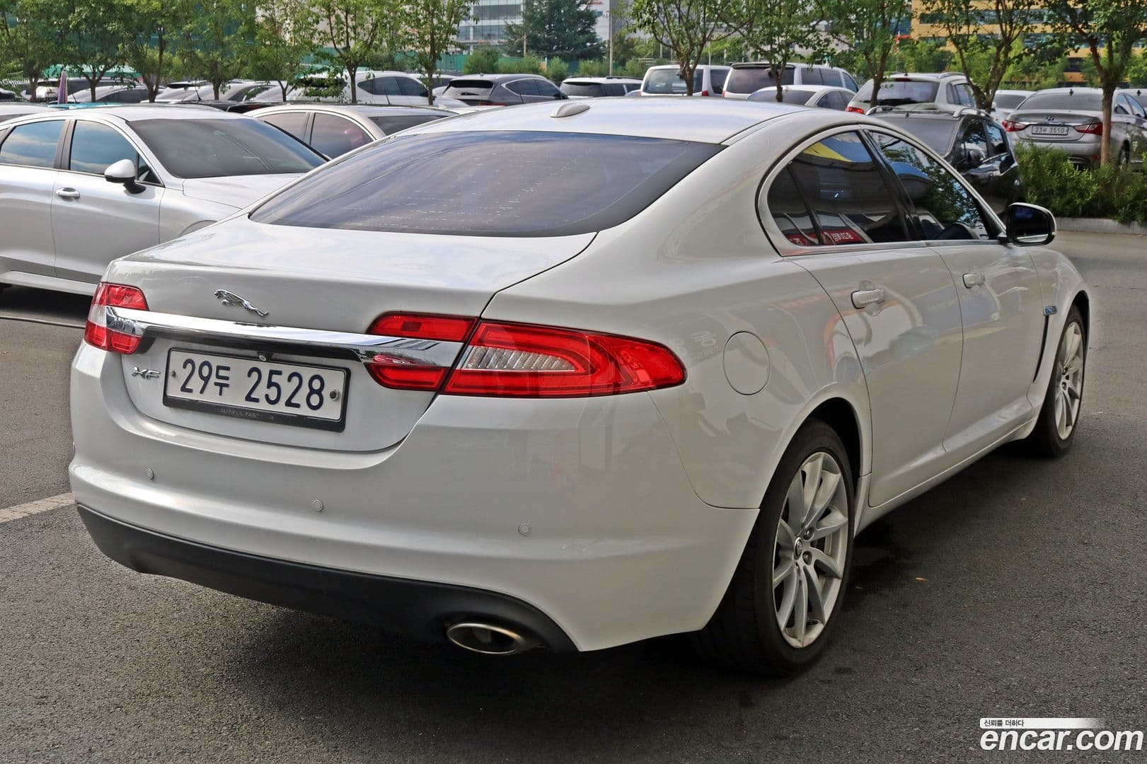 Main__Slider__Photo:XF Jaguar 2011.11-4