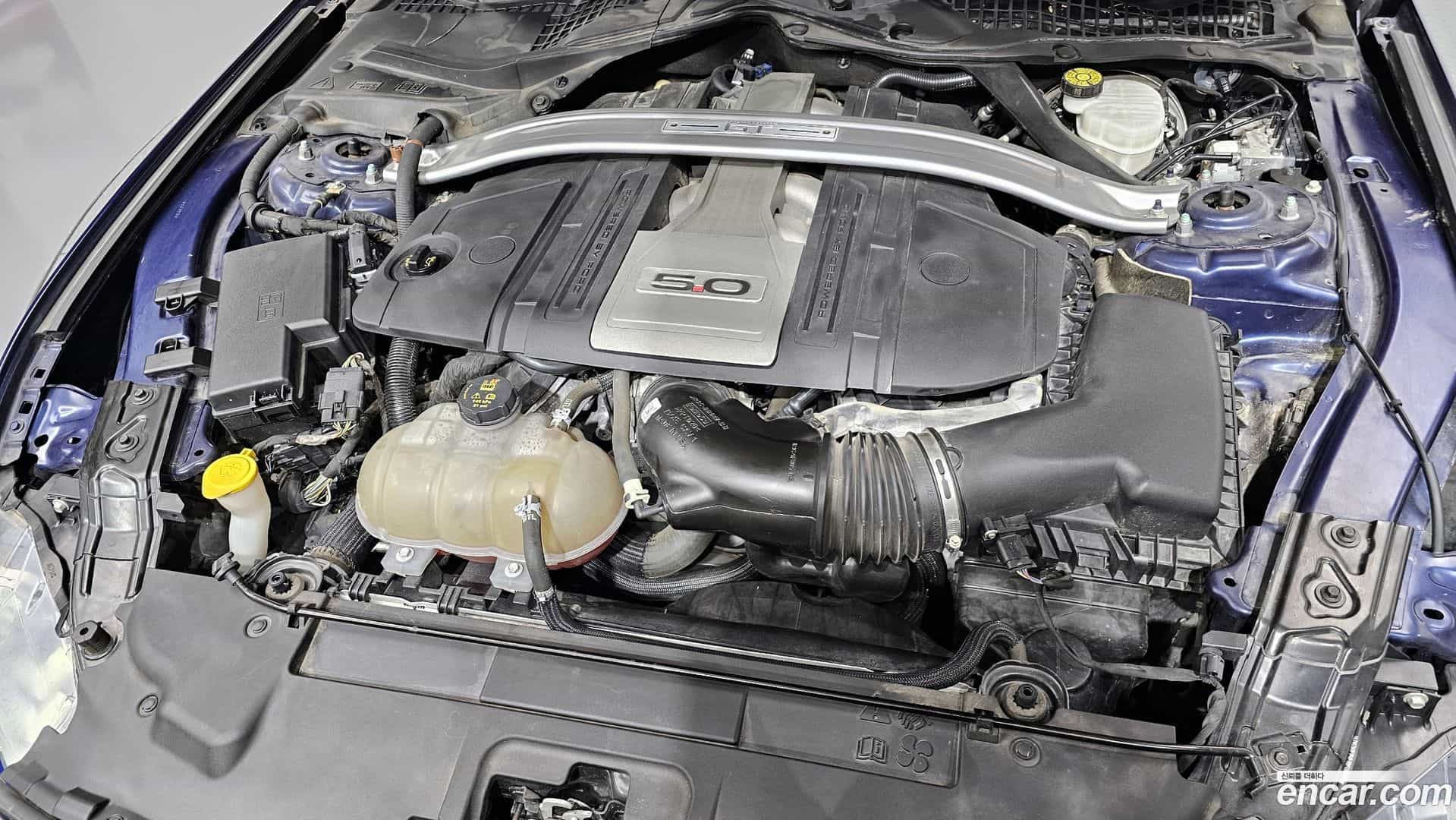 Mustang Ford 2019.4-INNER-006