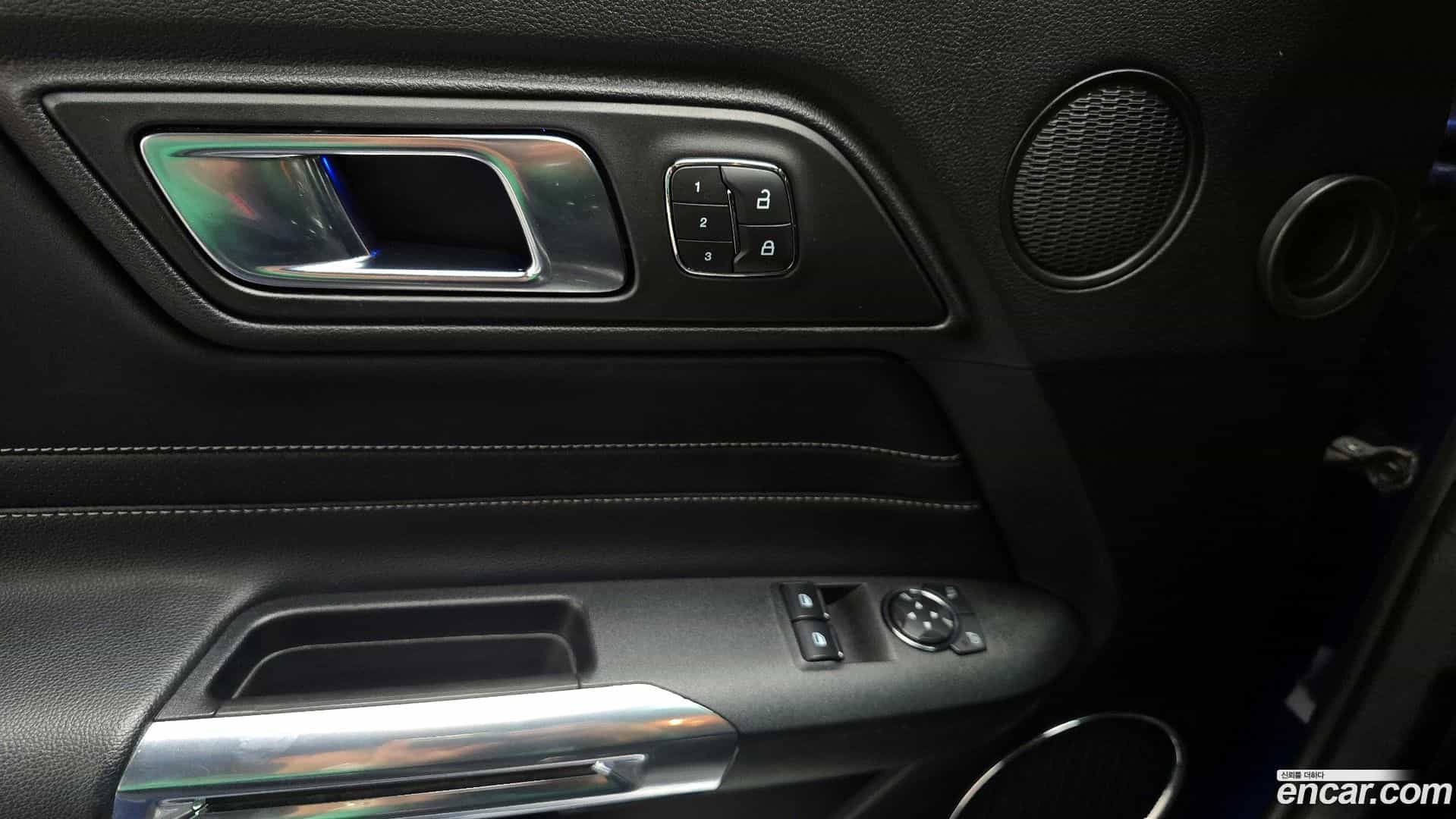 Mustang Ford 2019.4-OPTION-020