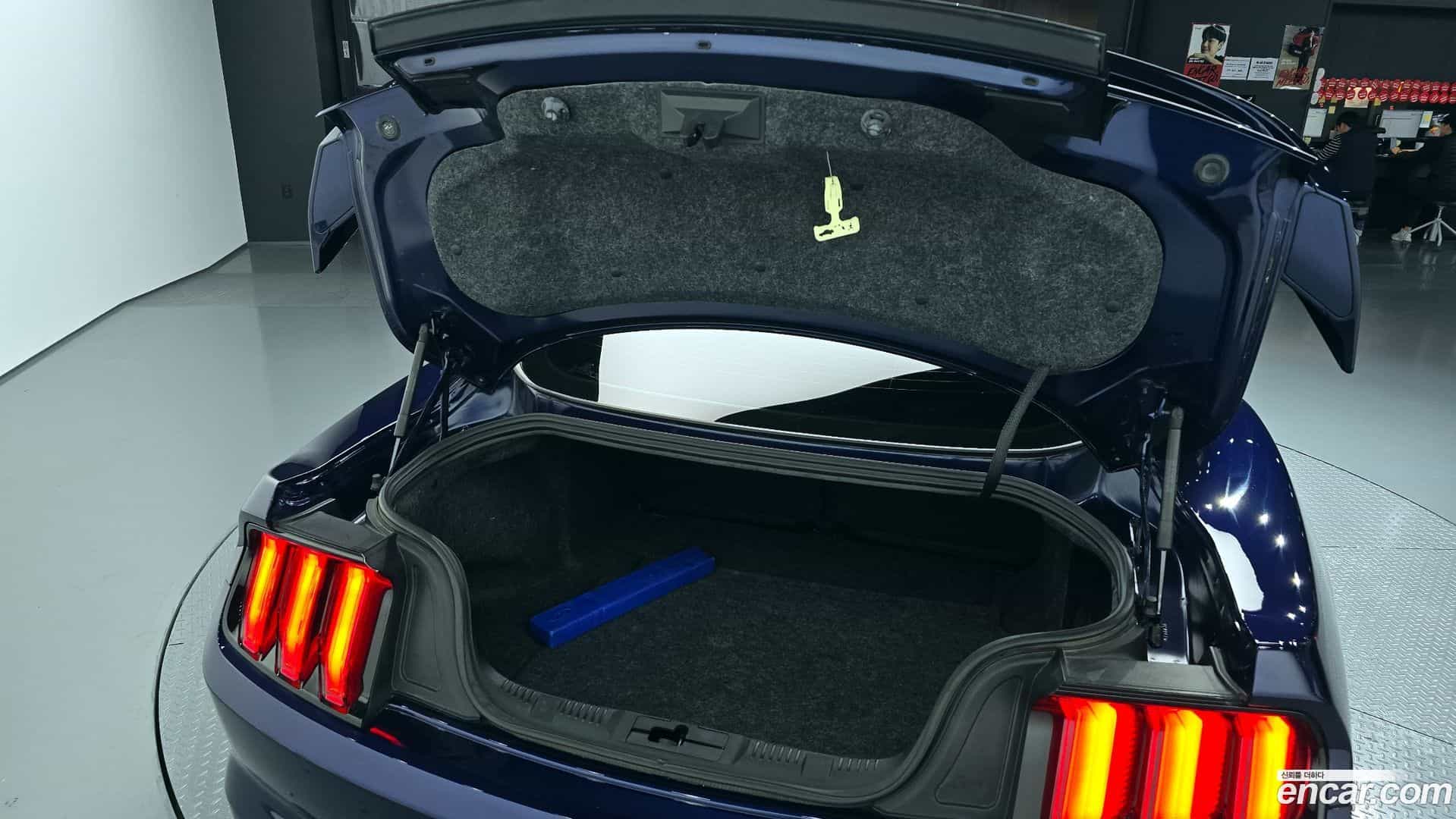 Mustang Ford 2019.4-OPTION-024