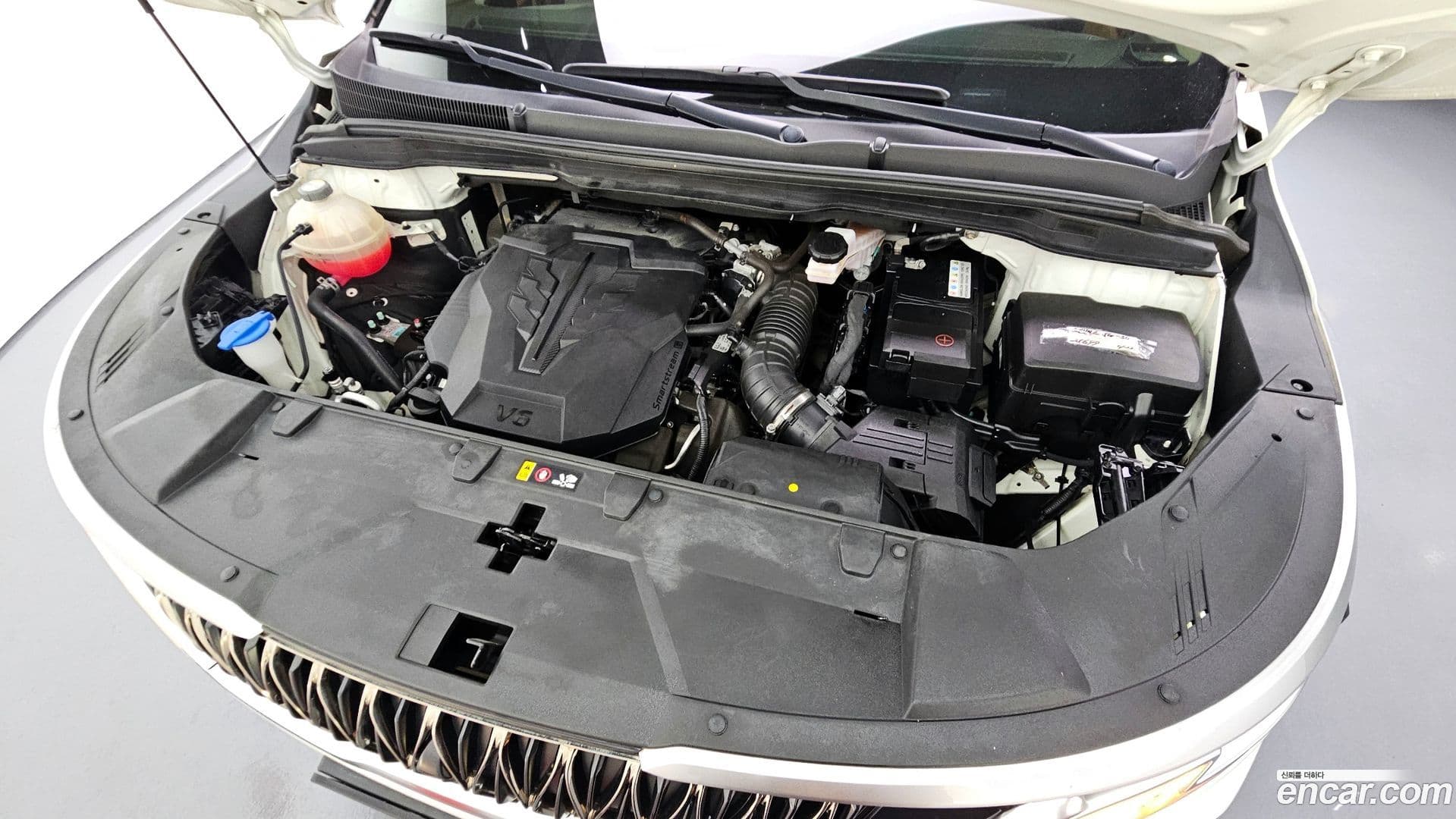 Main__Slider__Photo:Canival Kia 2021.3-5