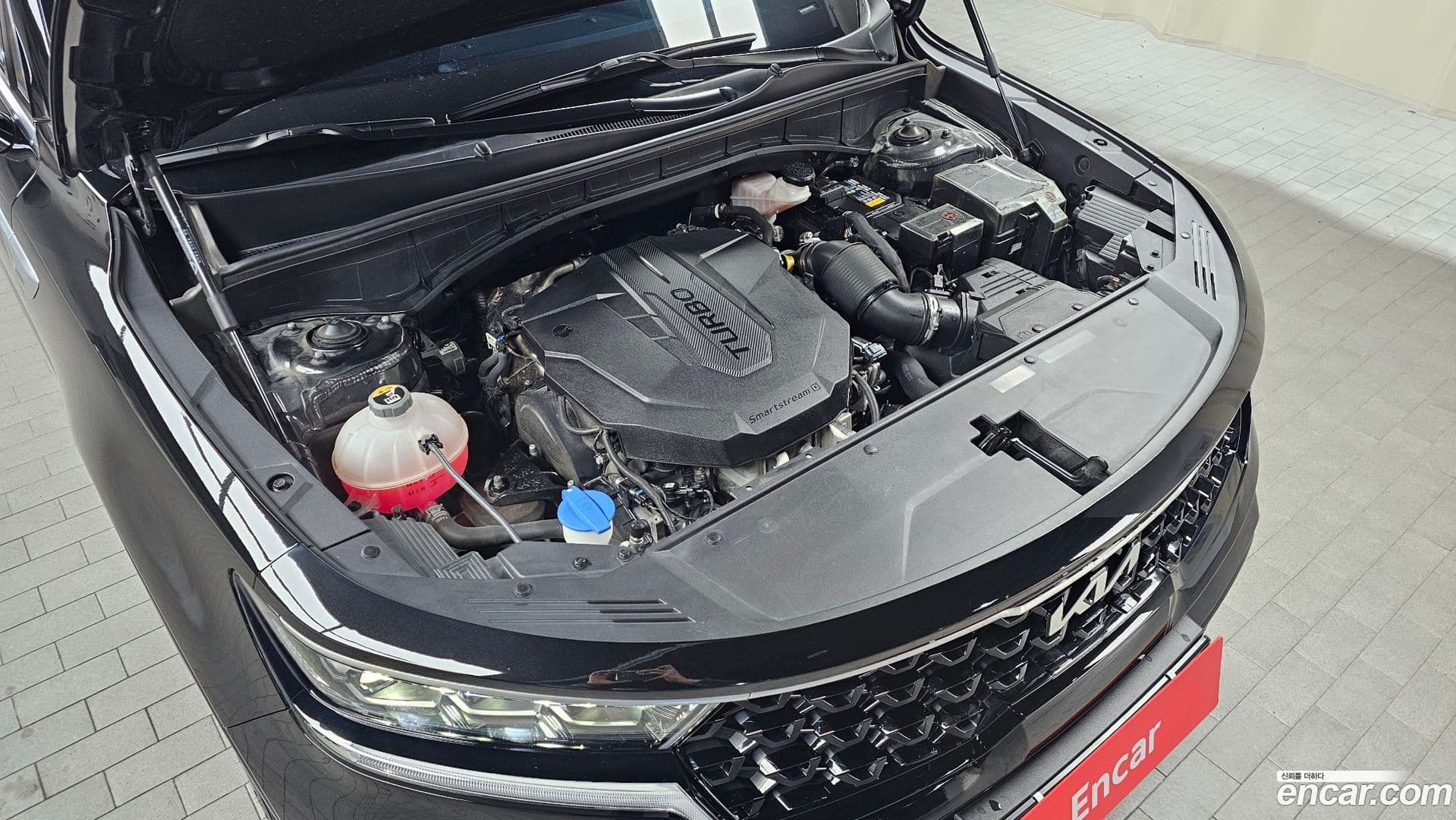 Main__Slider__Photo:Sorento Kia 2021.11-5